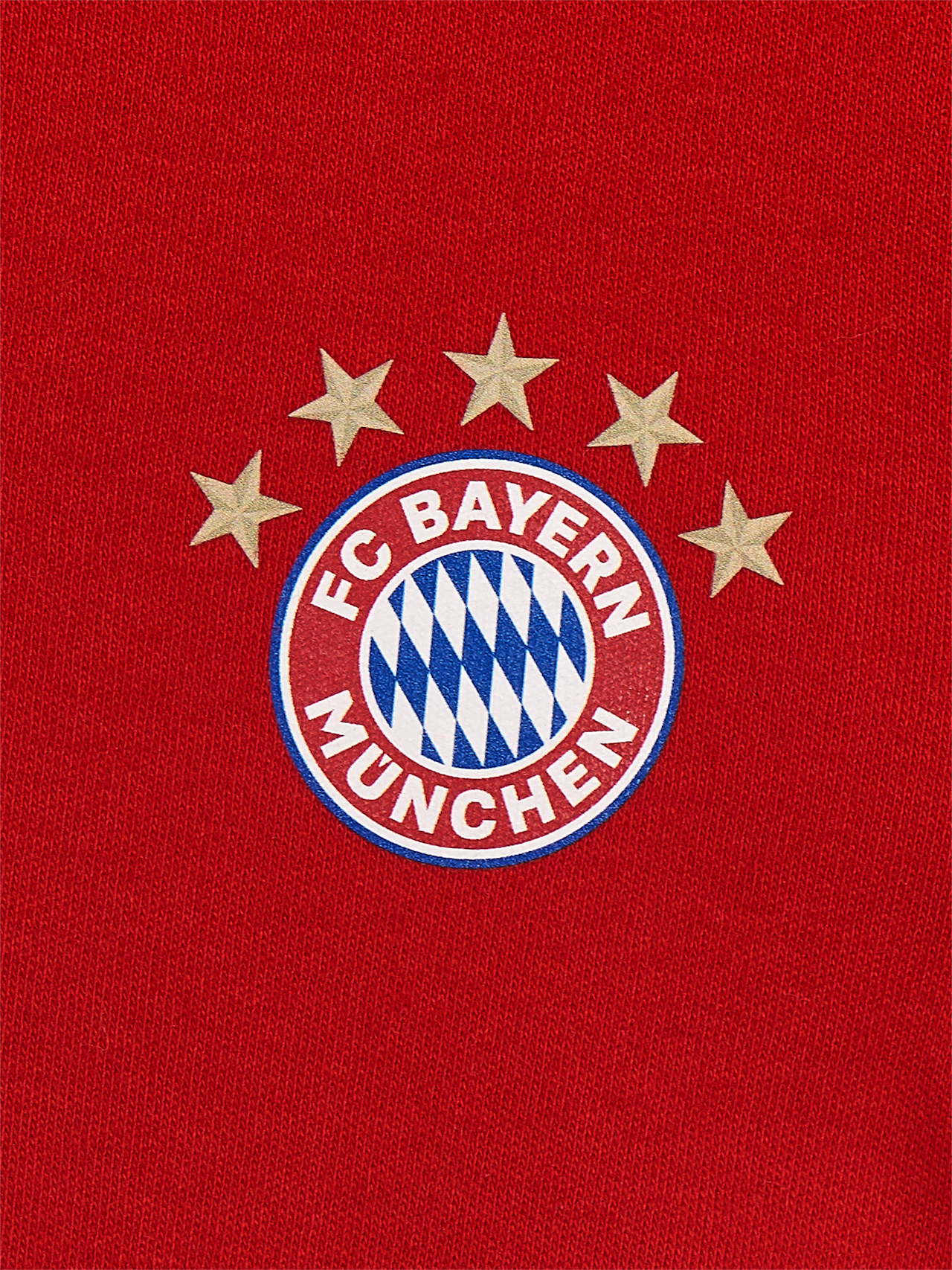Overall Logo detail 6