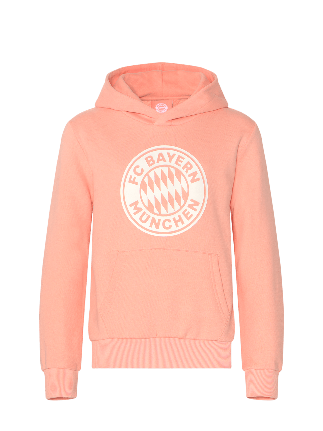 Pastel hoodie detail 1