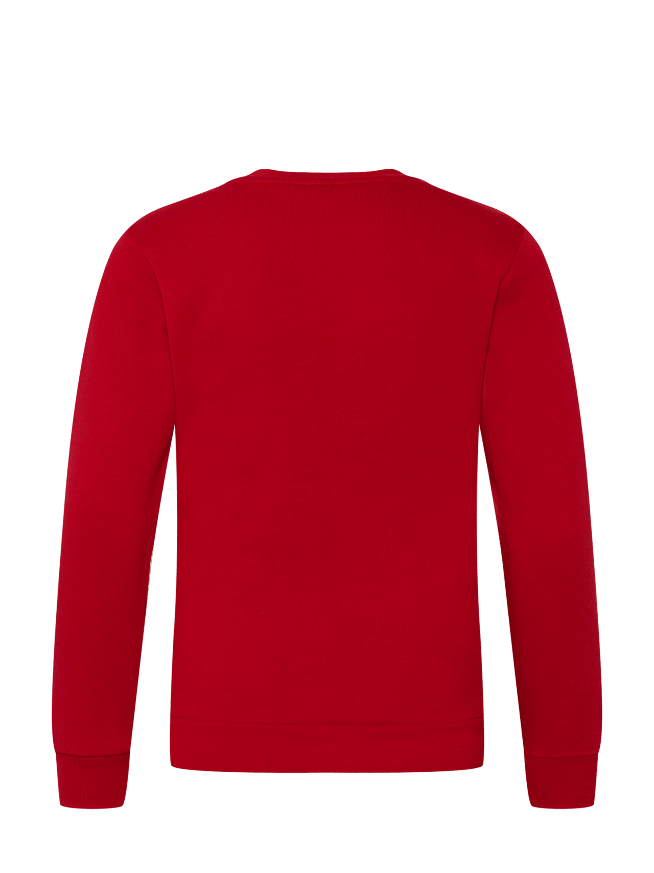 Trefoil sweatshirt detail 2