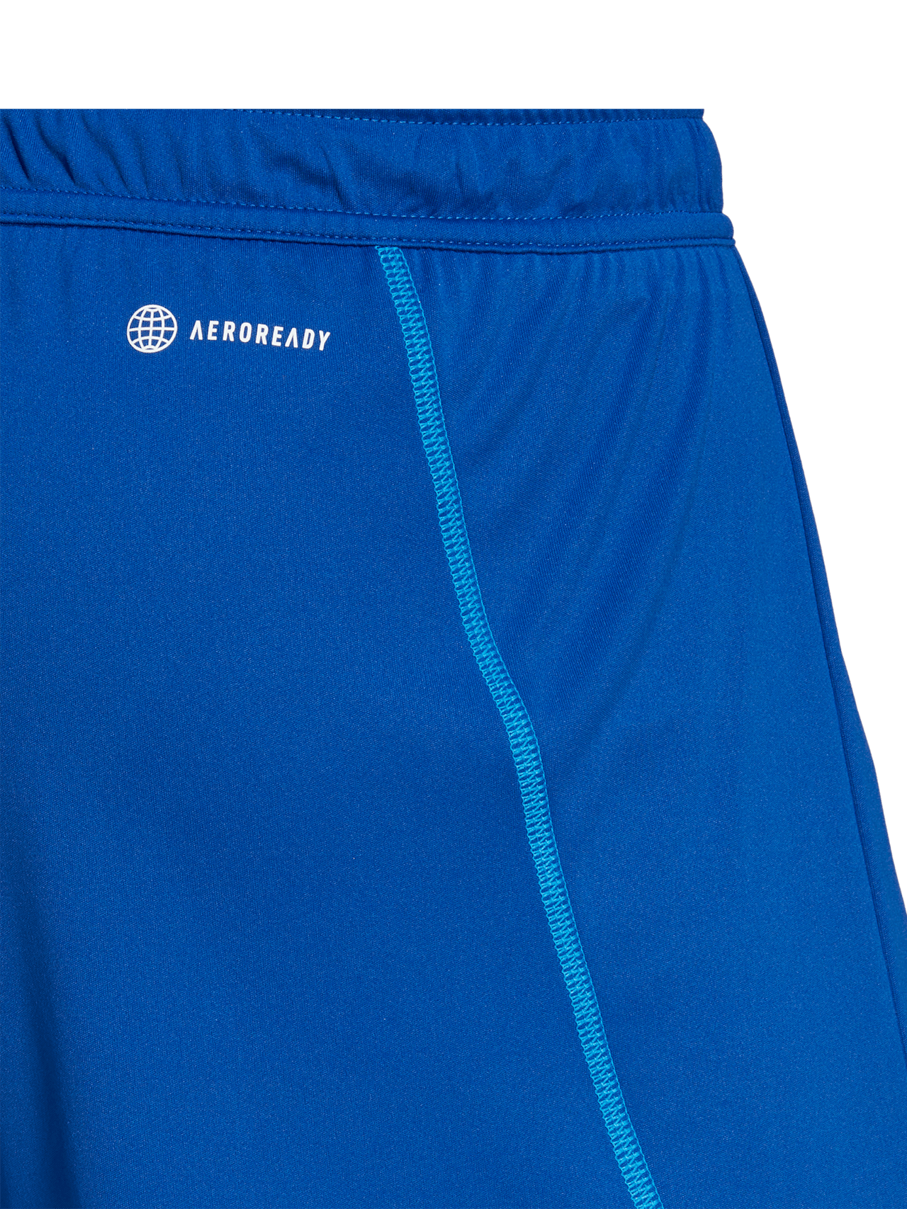 DFB goalkeeper shorts detail 5