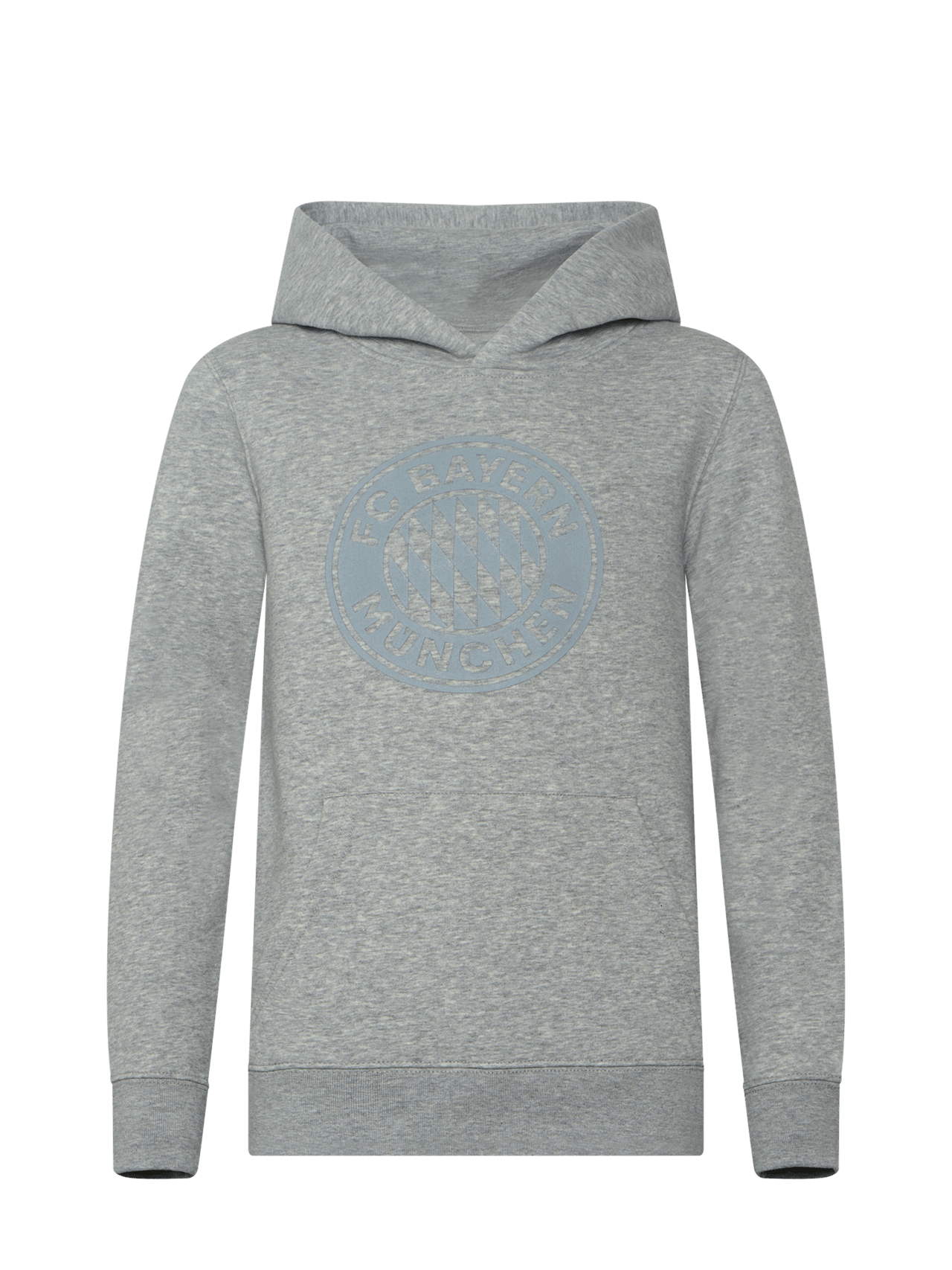 Hoodie grigio Logo detail 1