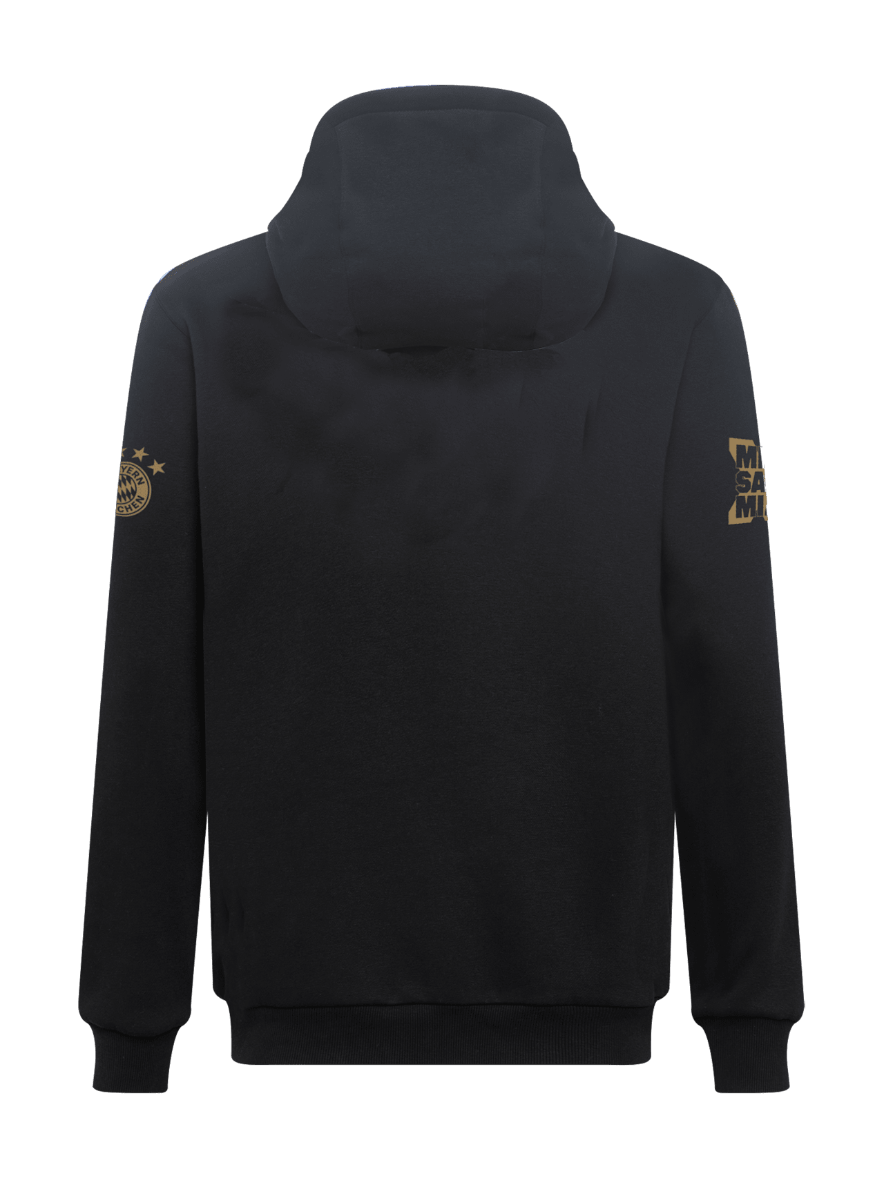 German Champion 2022 hoodie detail 2