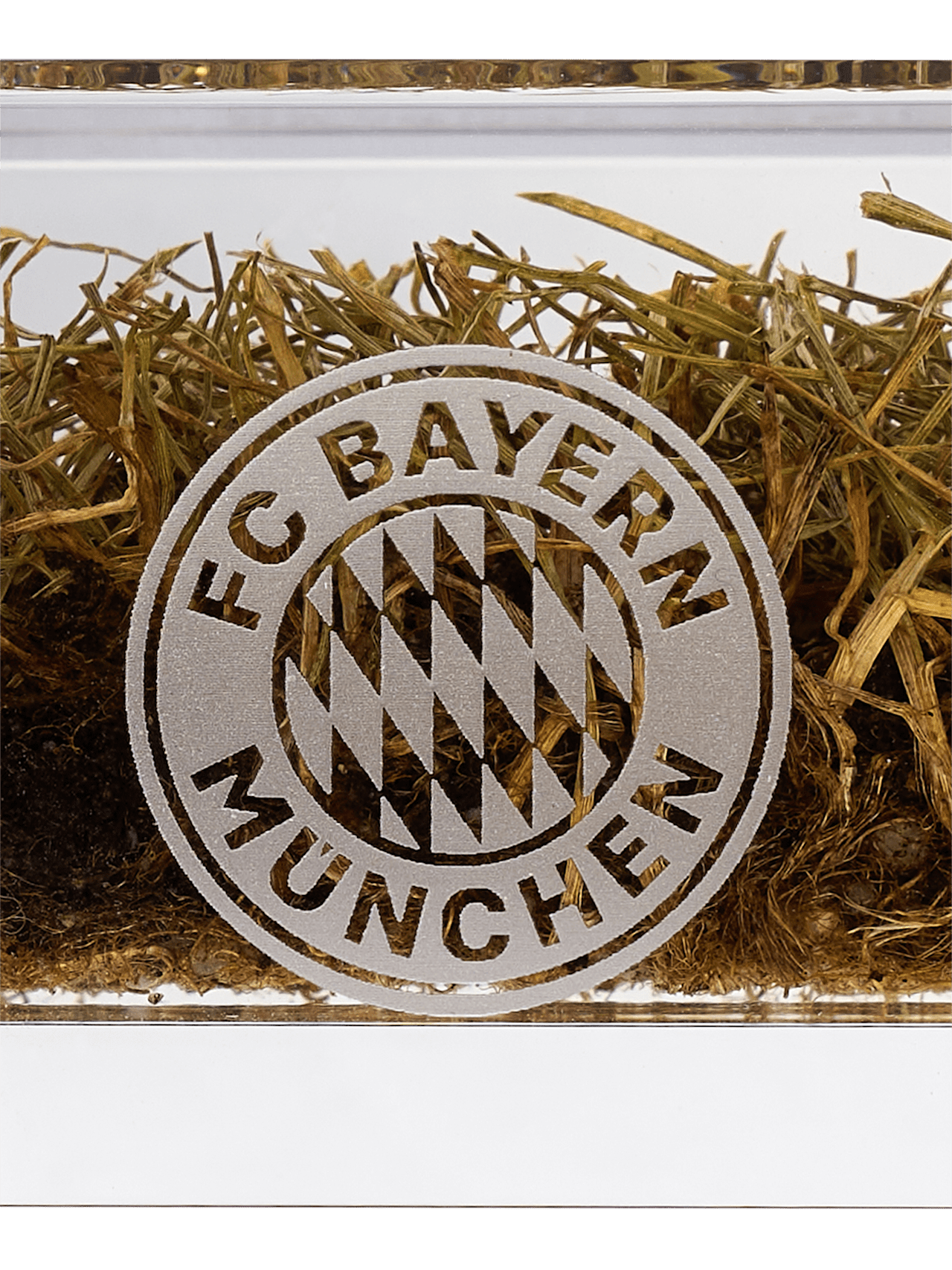 Allianz Arena Meisterrasen in Acryl detail 6