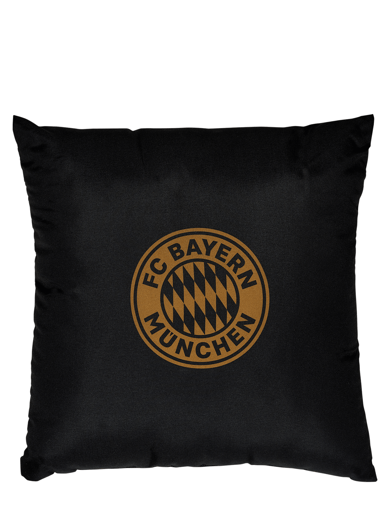 Kissen Deutscher Meister 2022 detail 2