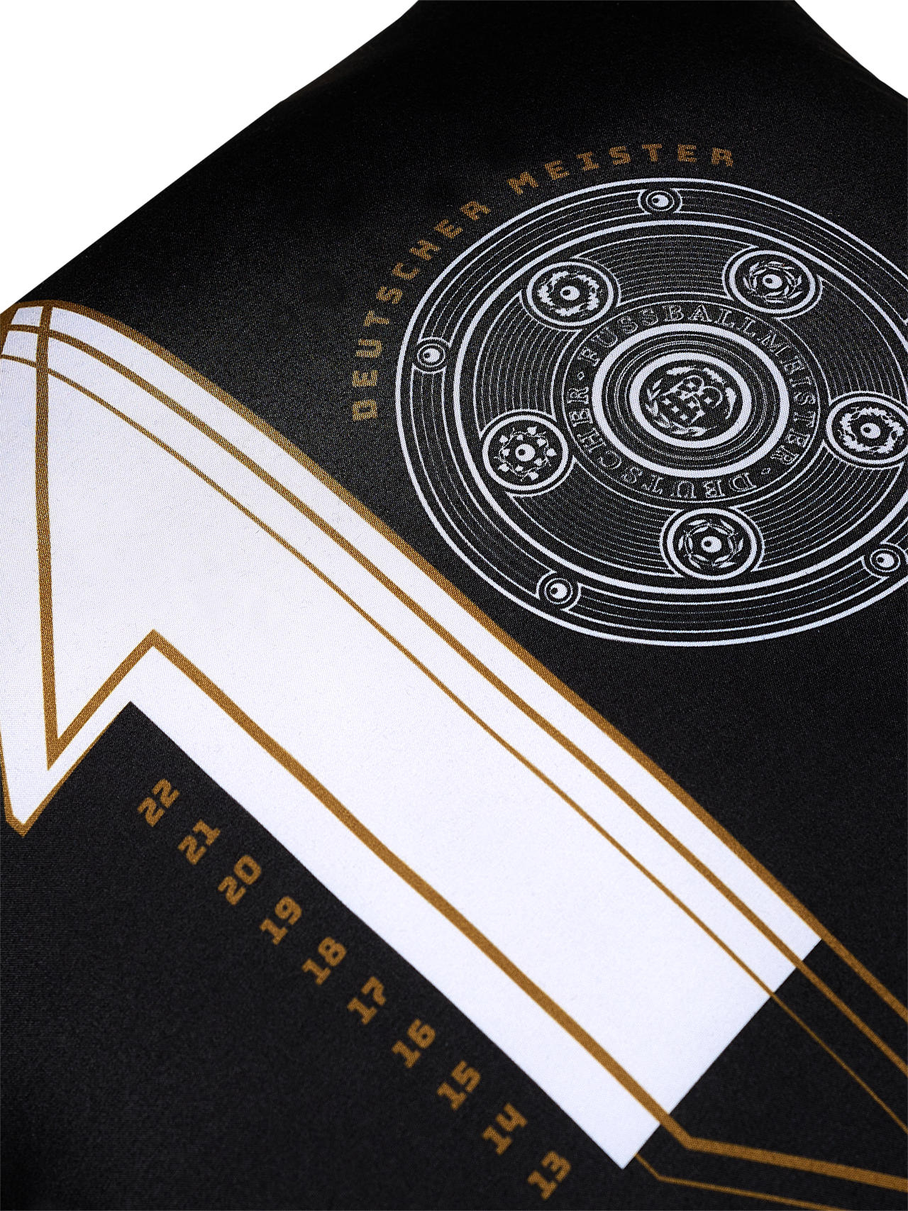 Kissen Deutscher Meister 2022 detail 4