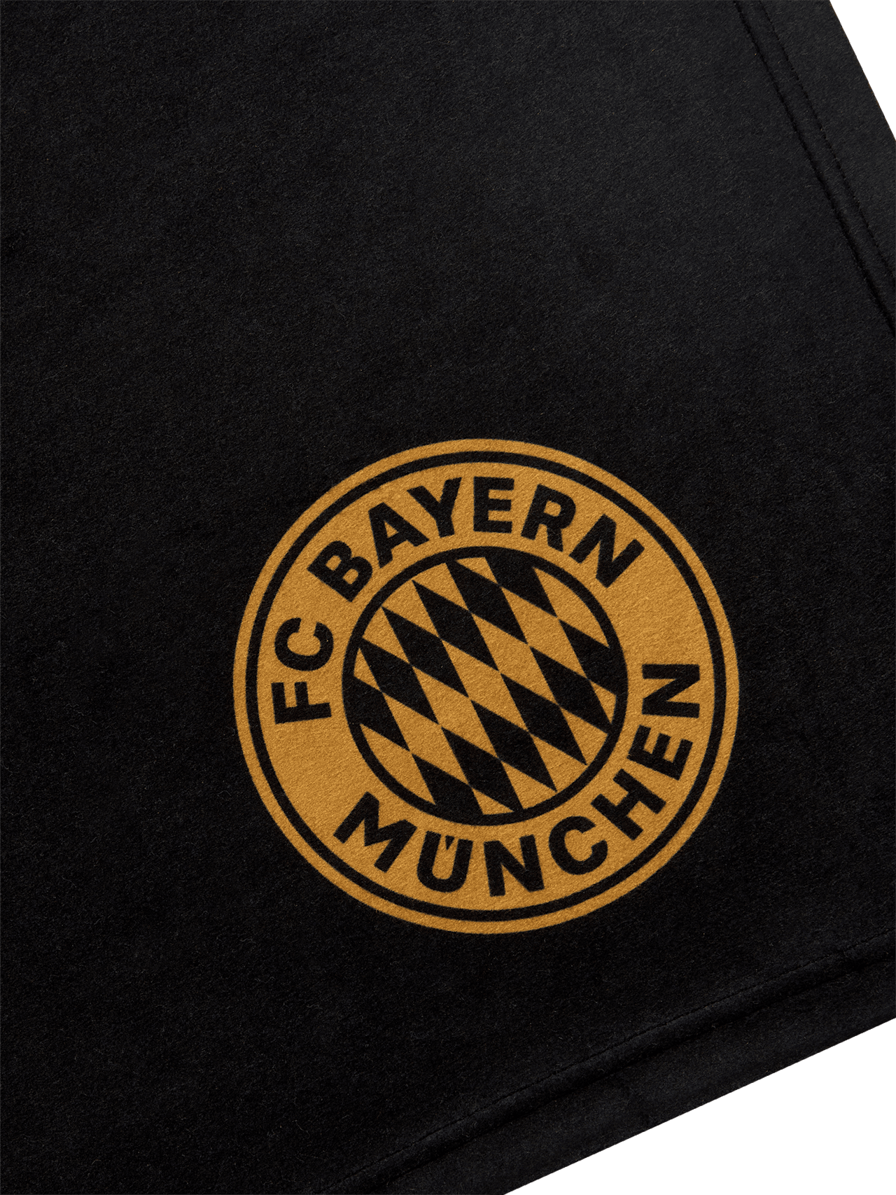 German Champion 2022 fleece blanket detail 3