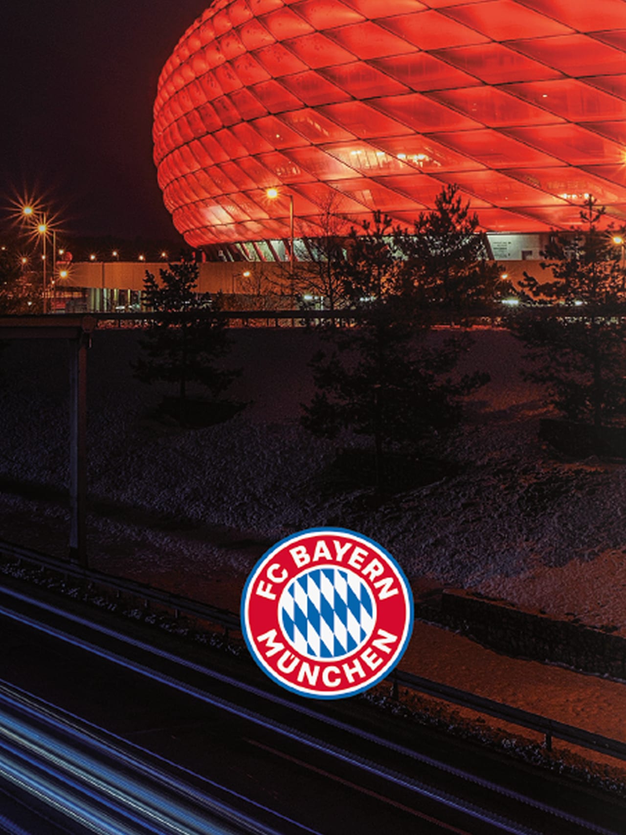 Custodia in silicone Allianz Arena detail 2