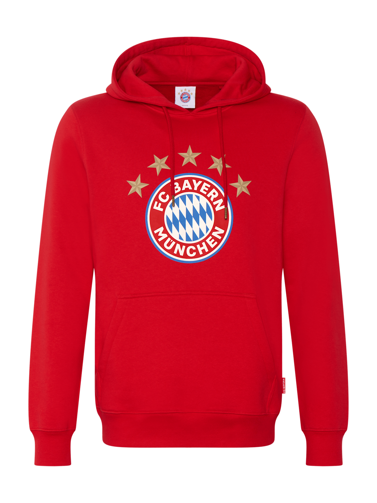 Hoodie Logo detail 1