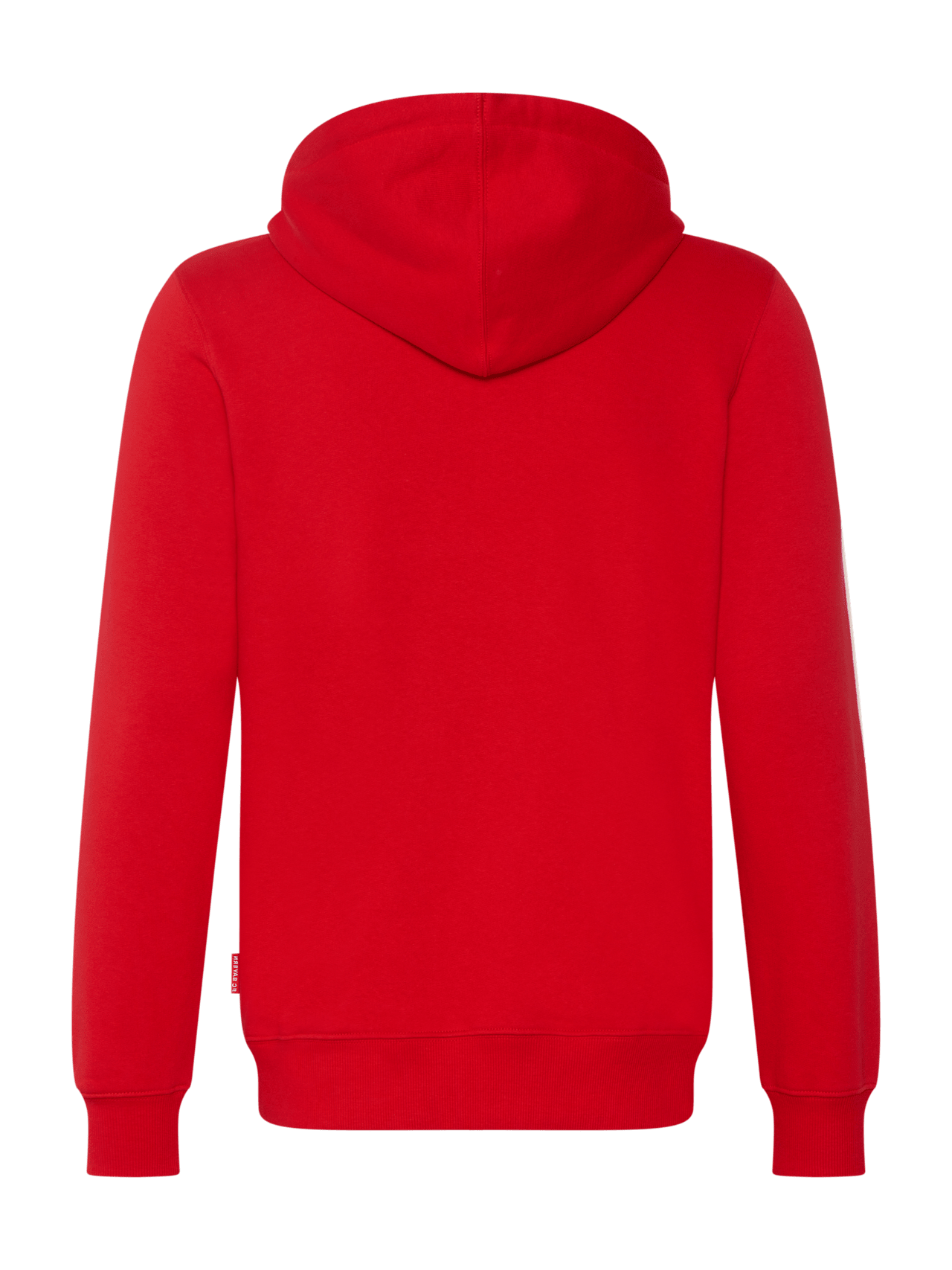 Hoodie Logo detail 2