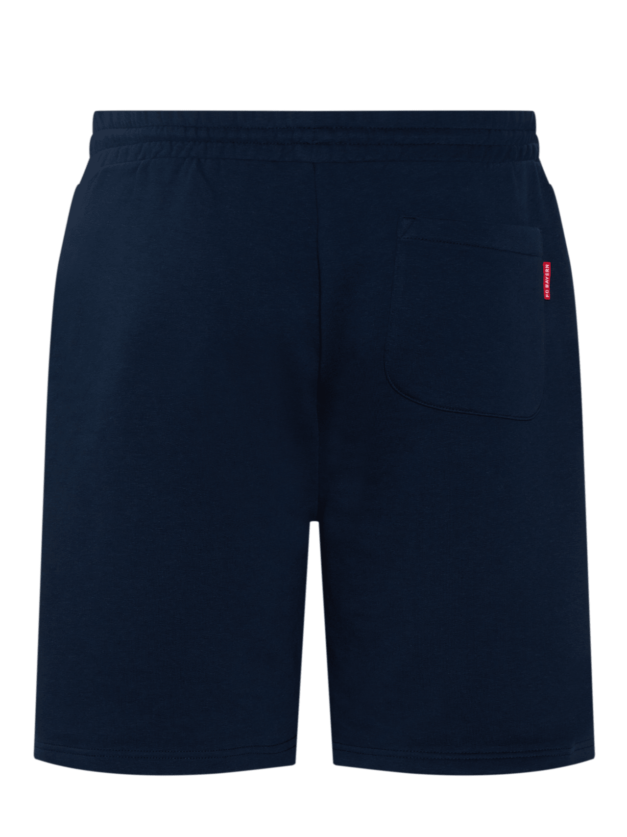 BH LOGO SWEAT CARGO SHORTS / GRY