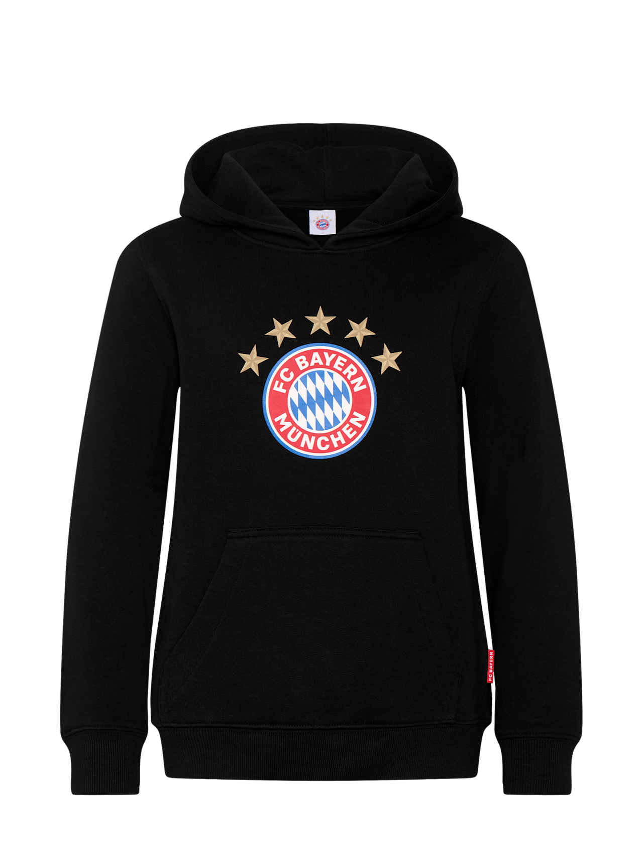 Hoodie Logo detail 1