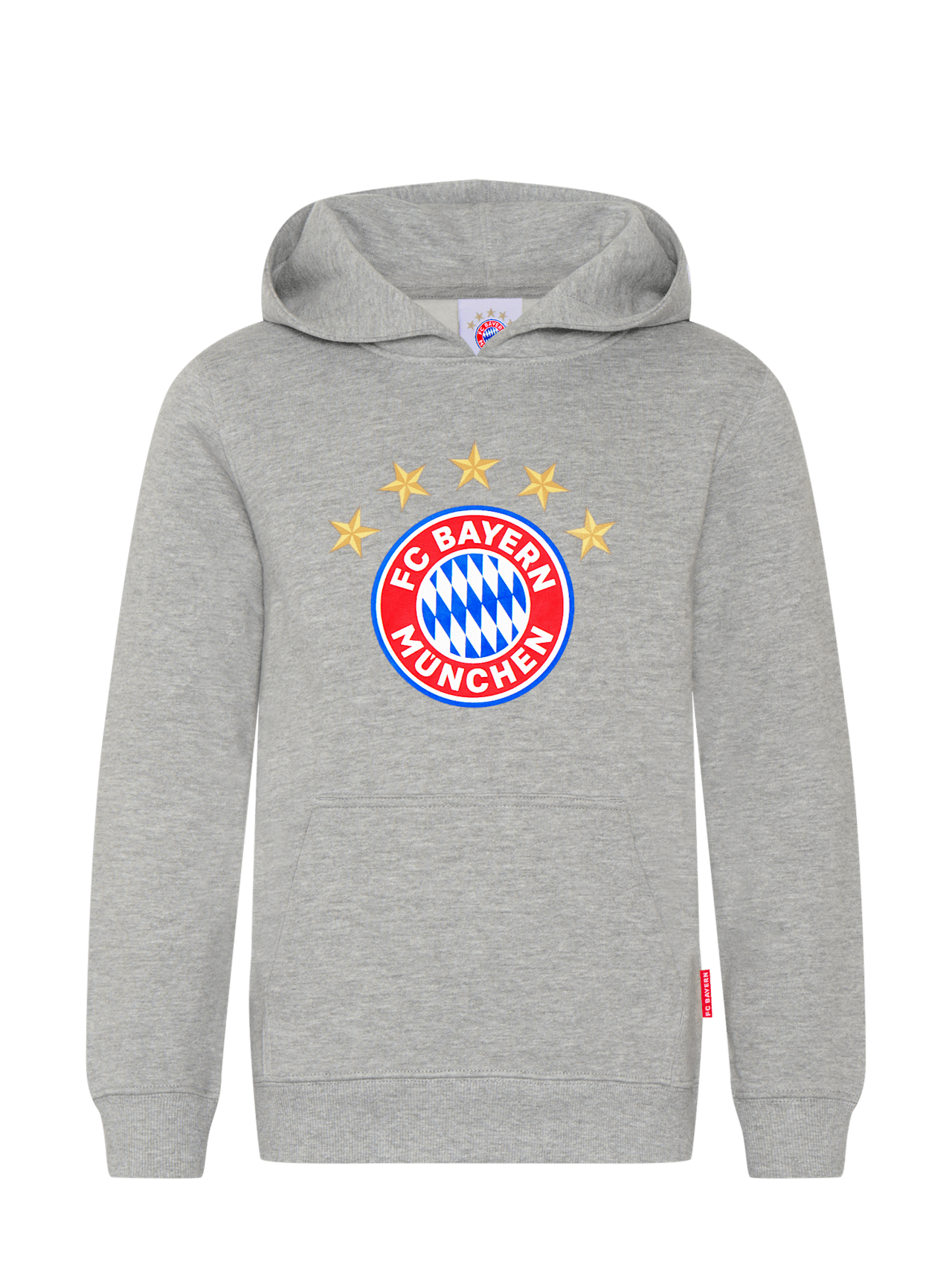 Hoodie Logo detail 1
