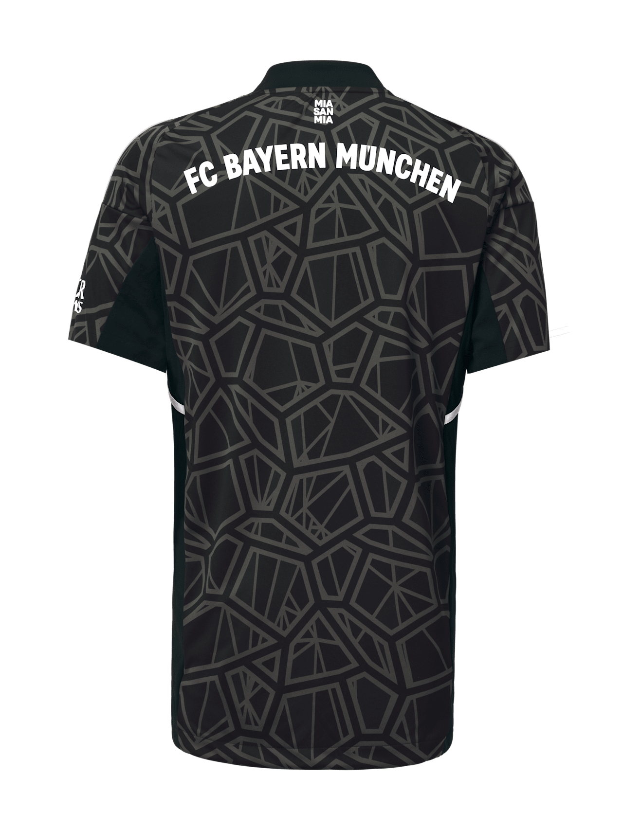 Maillot gardien de but 22-23 detail 2