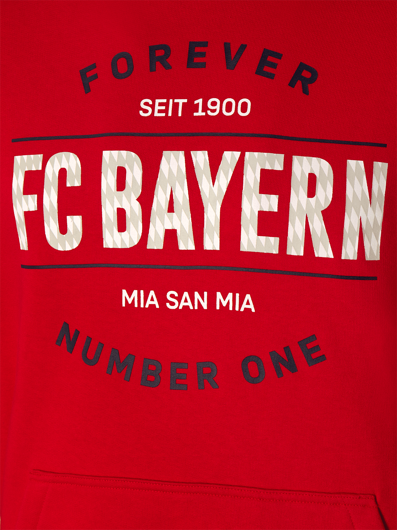 Hoodie Forever Number One detail 4