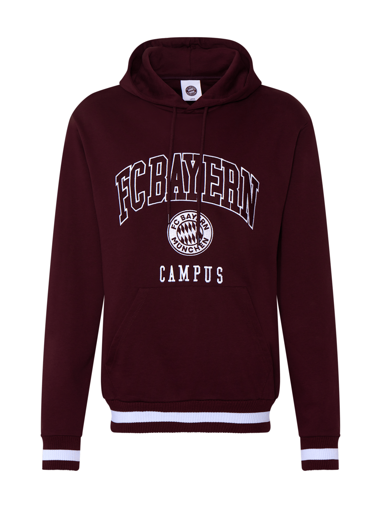 Campus hoodie detail 1