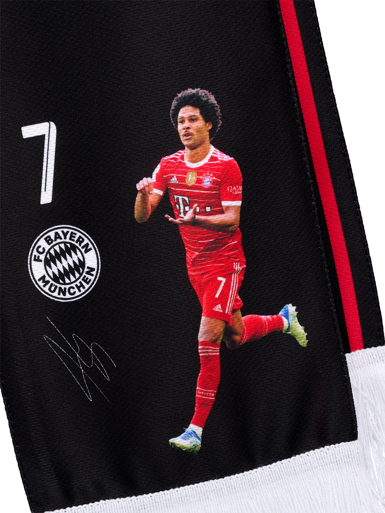Schal Gnabry detail 3