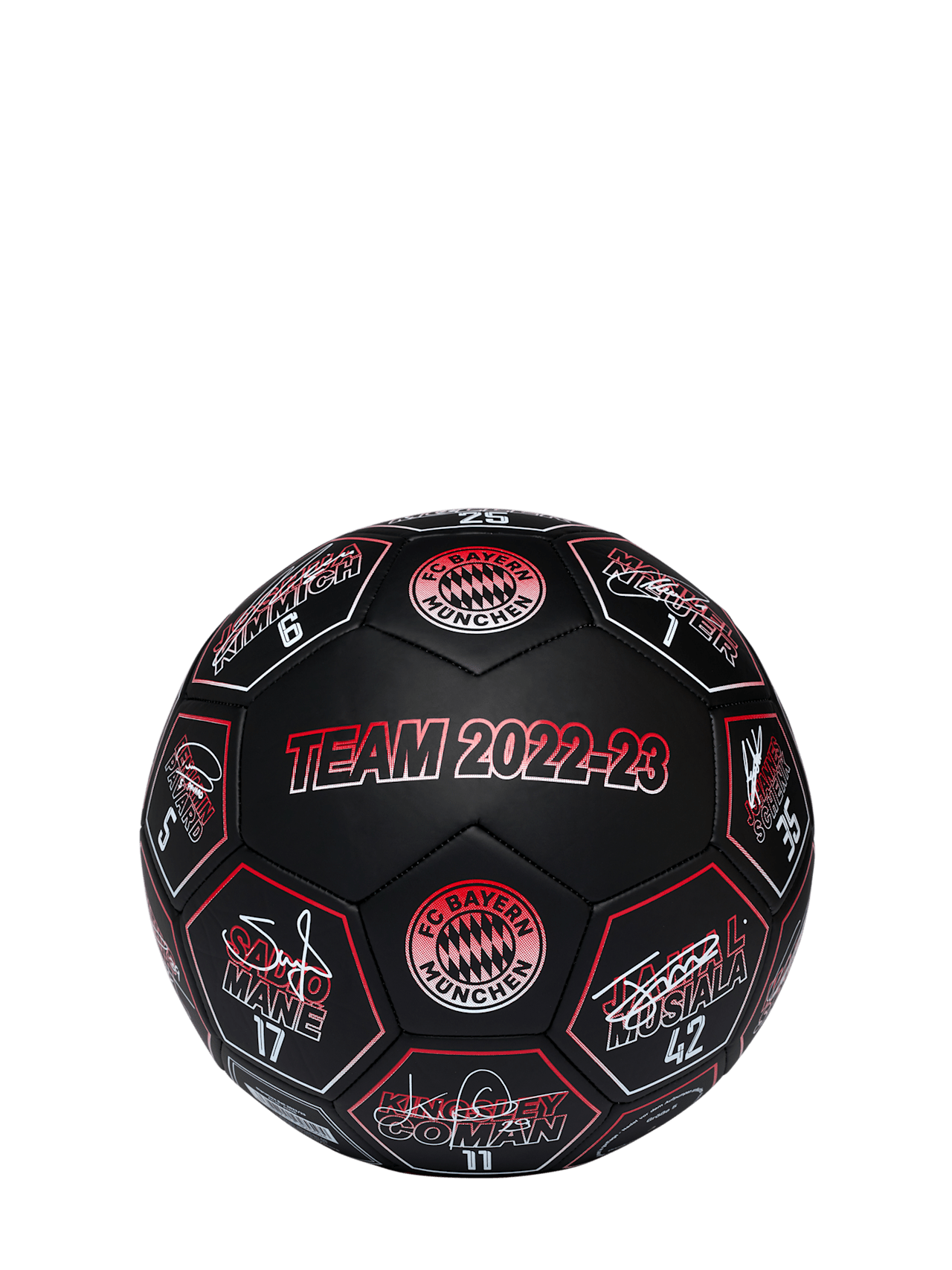 Mini-Fußball Signature 2022-23 detail 1