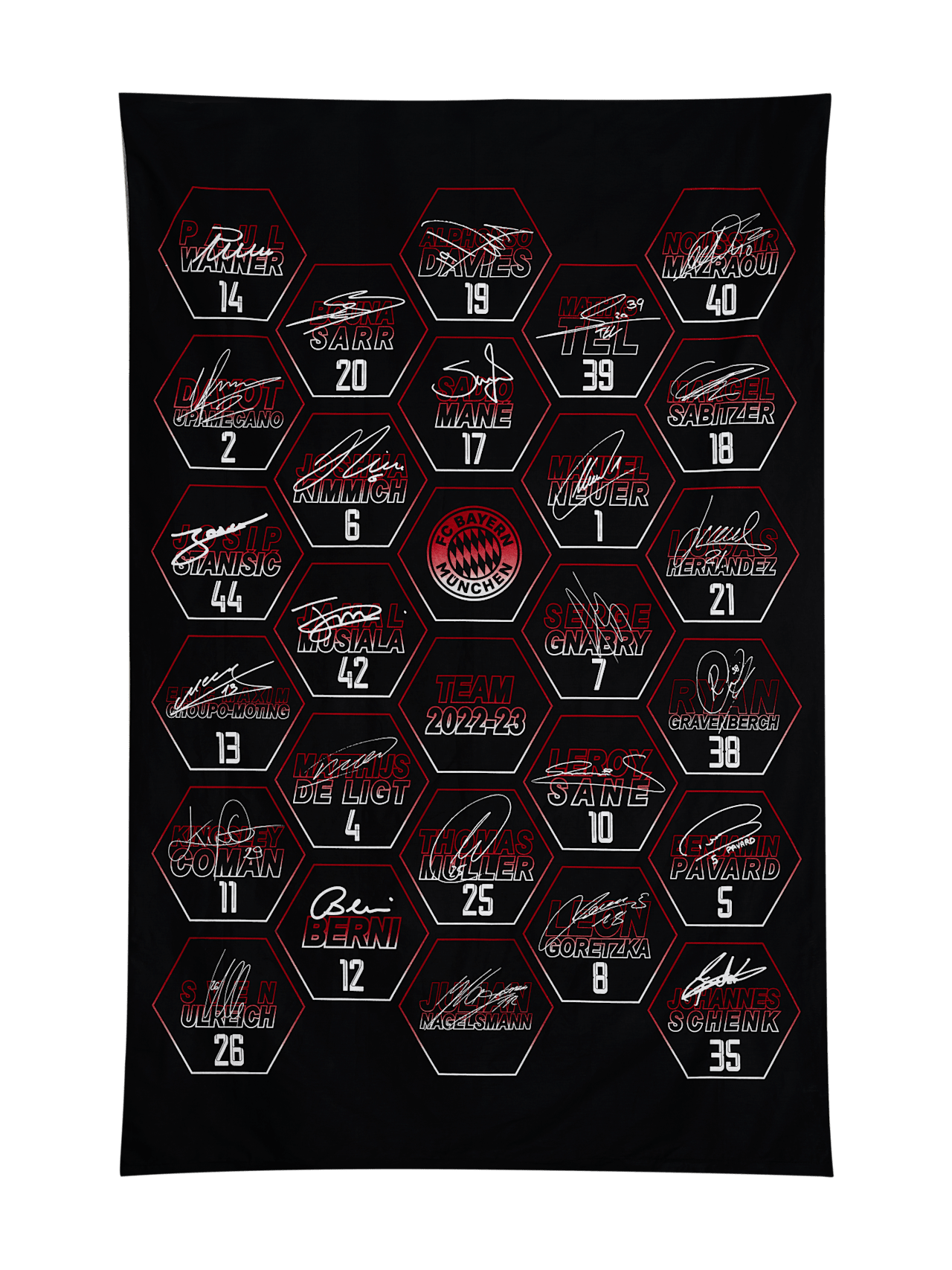 Linge de lit Signature 2022-23 detail 2