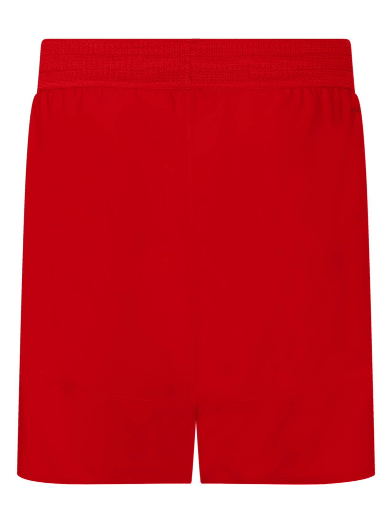 Basketball Short Home 22-23 detail 2