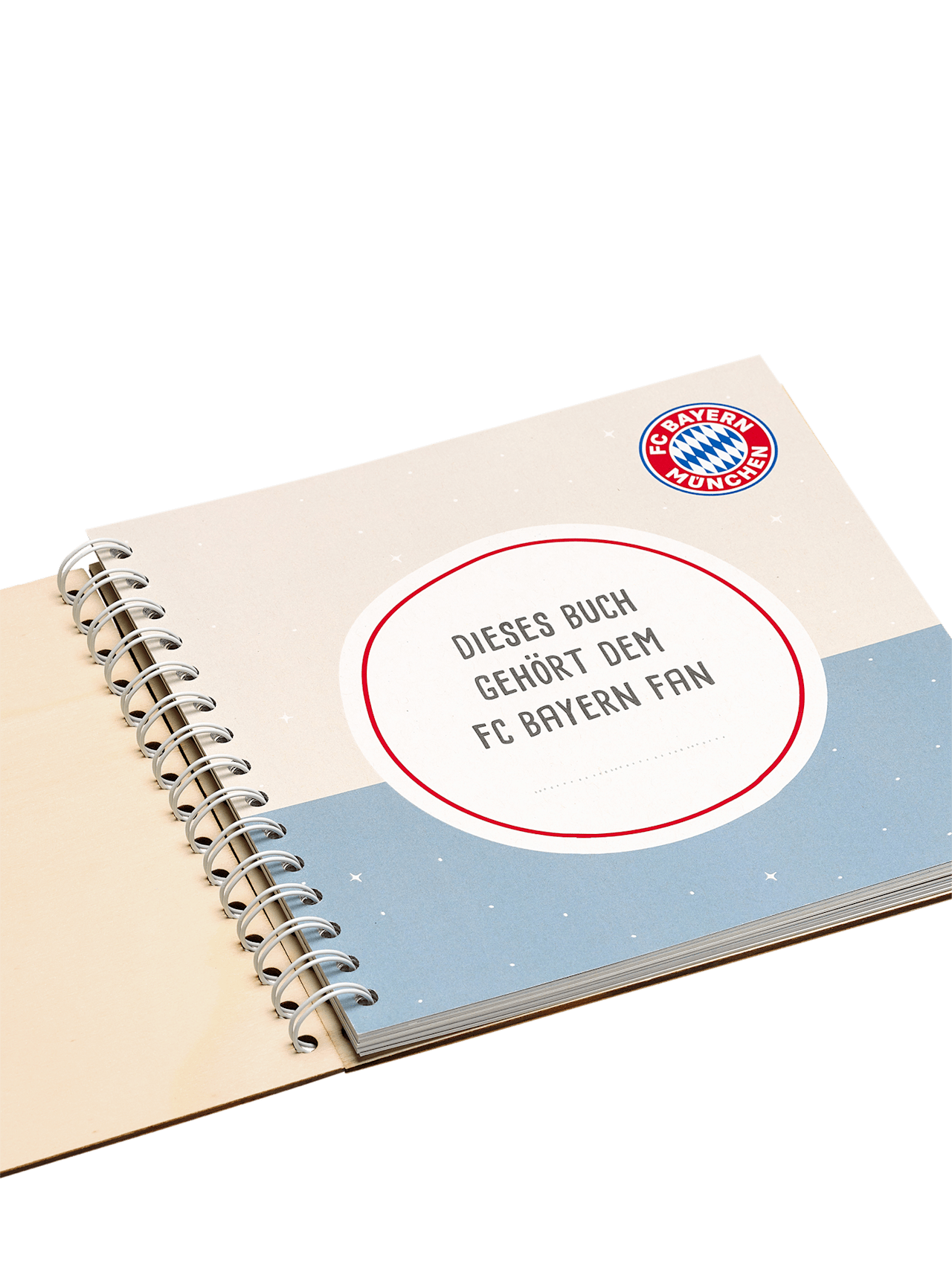 Mein Fußball Fanbuch detail 4