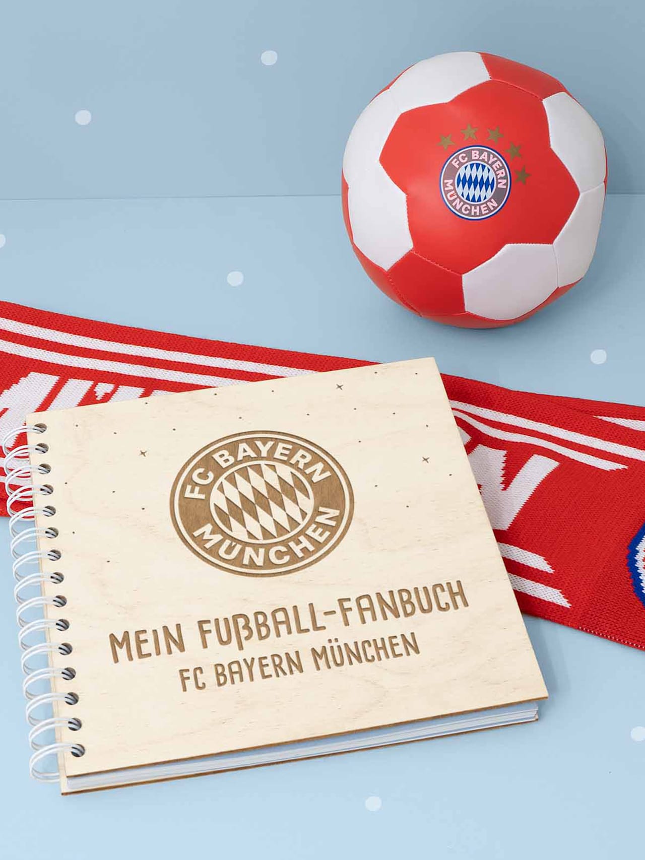 Mein Fußball Fanbuch detail 7