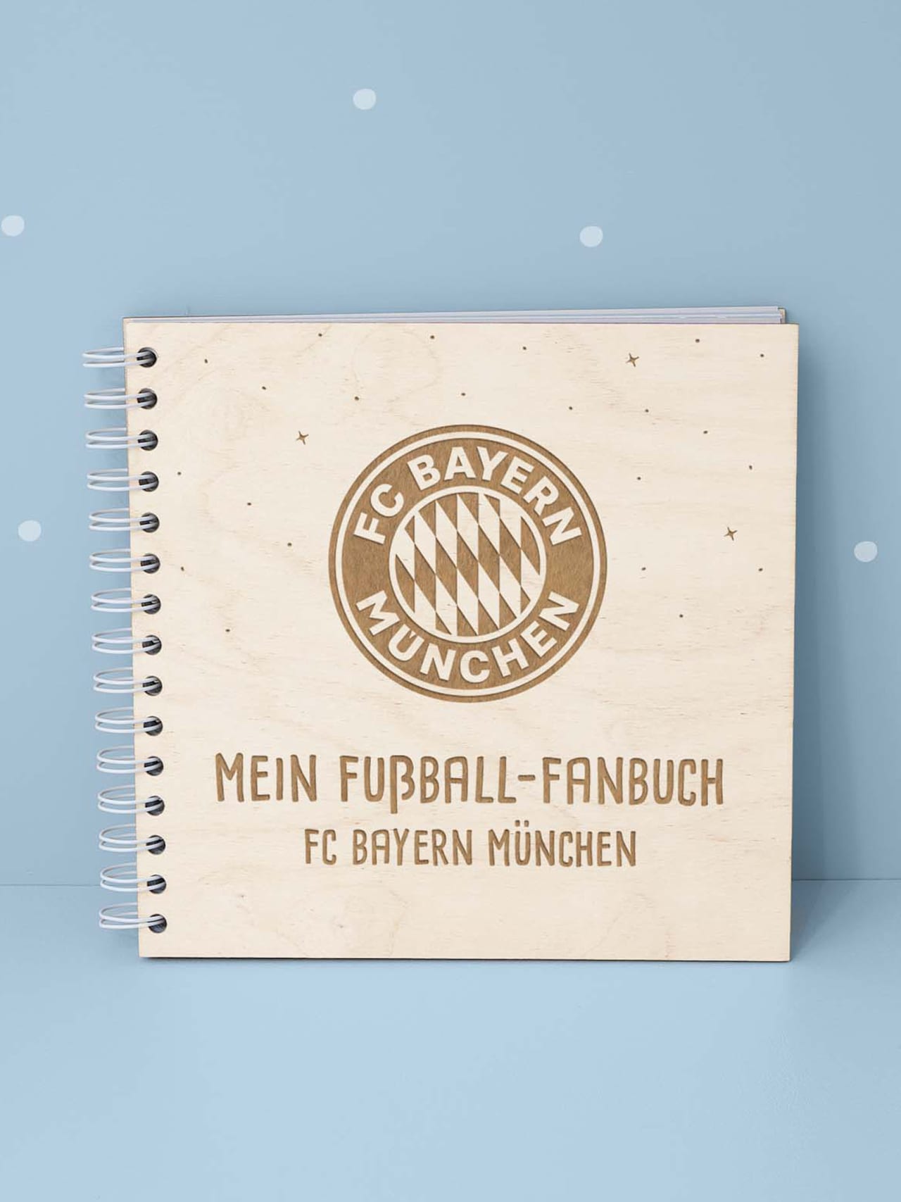 Mein Fußball Fanbuch detail 8