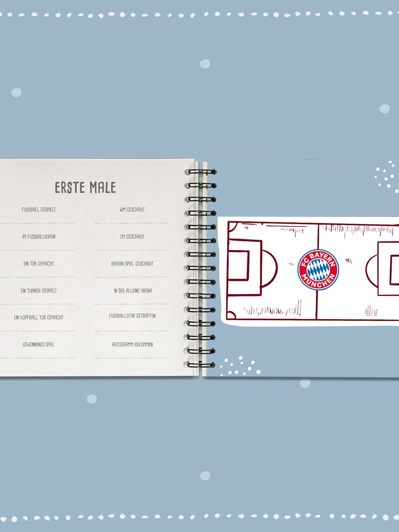 Mein Fußball Fanbuch detail 9