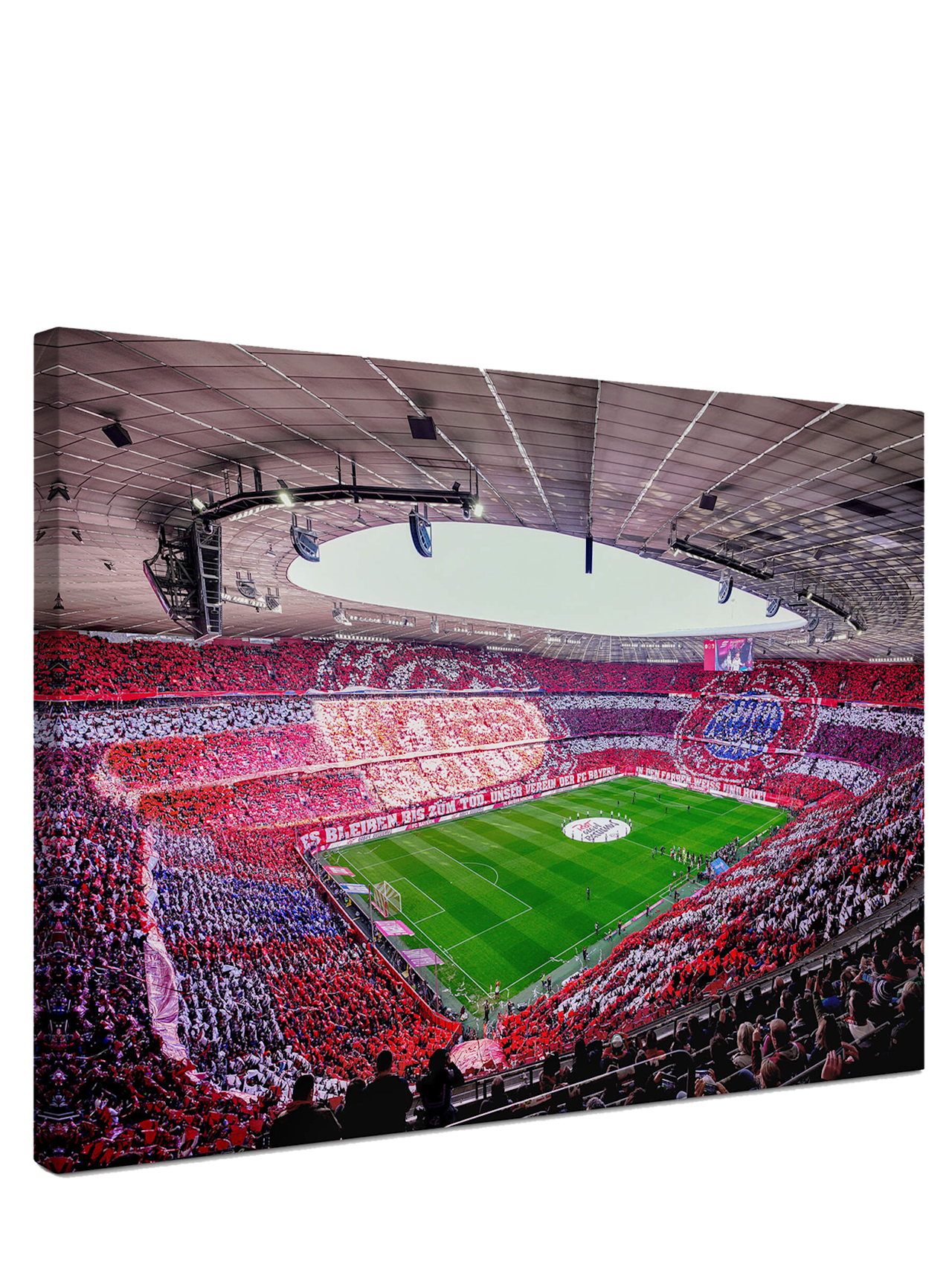 Leinwand Arena detail 1