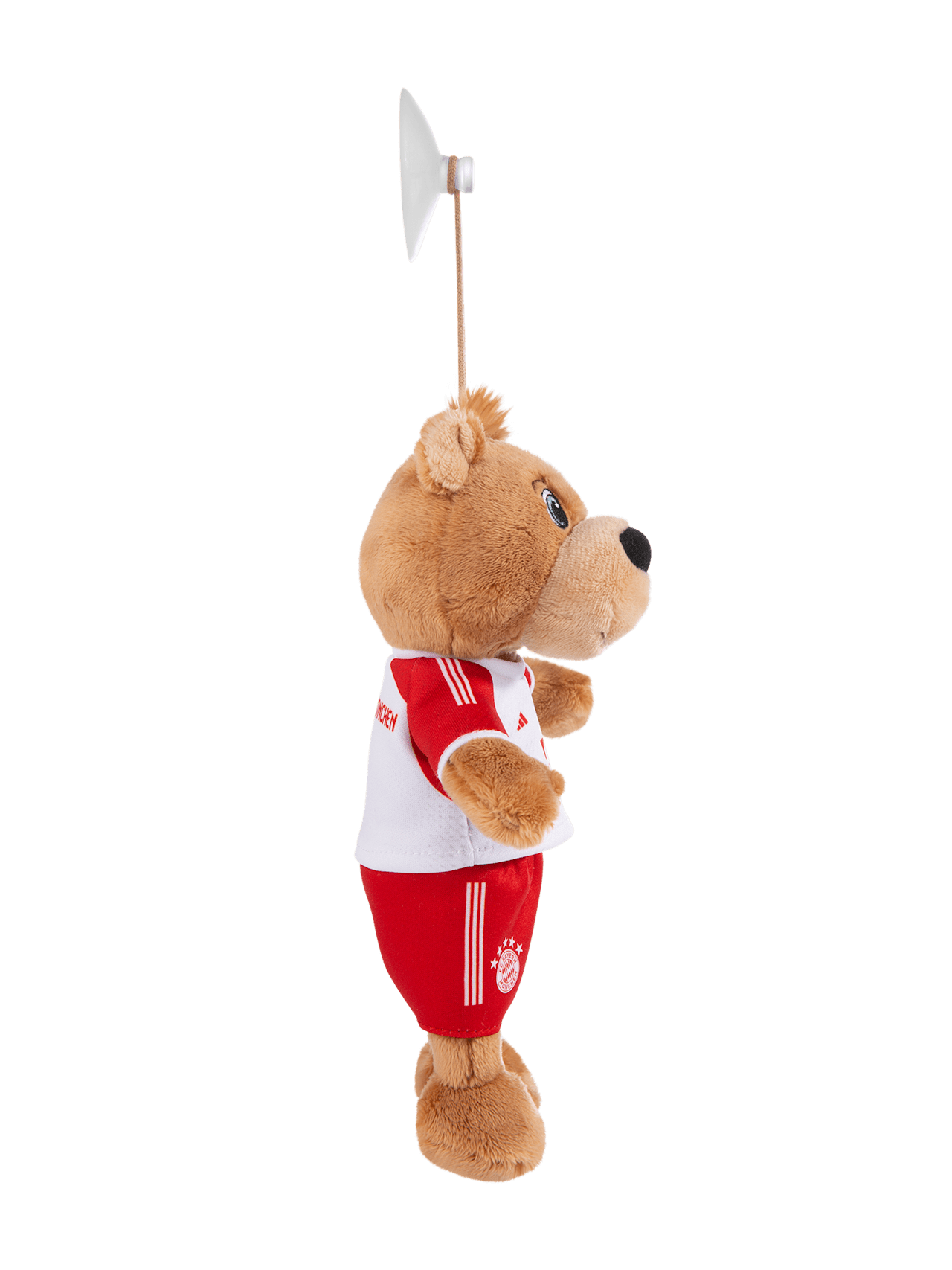 Berni 20 cm 2023-24 detail 3