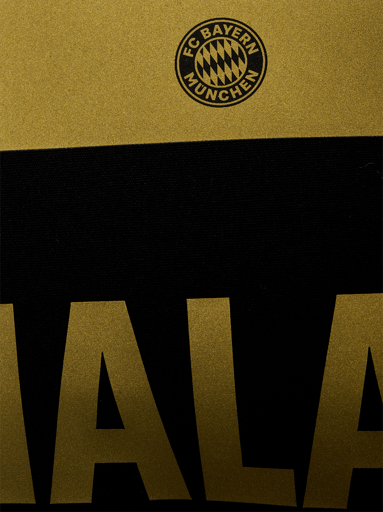 Sportbeutel Musiala detail 4