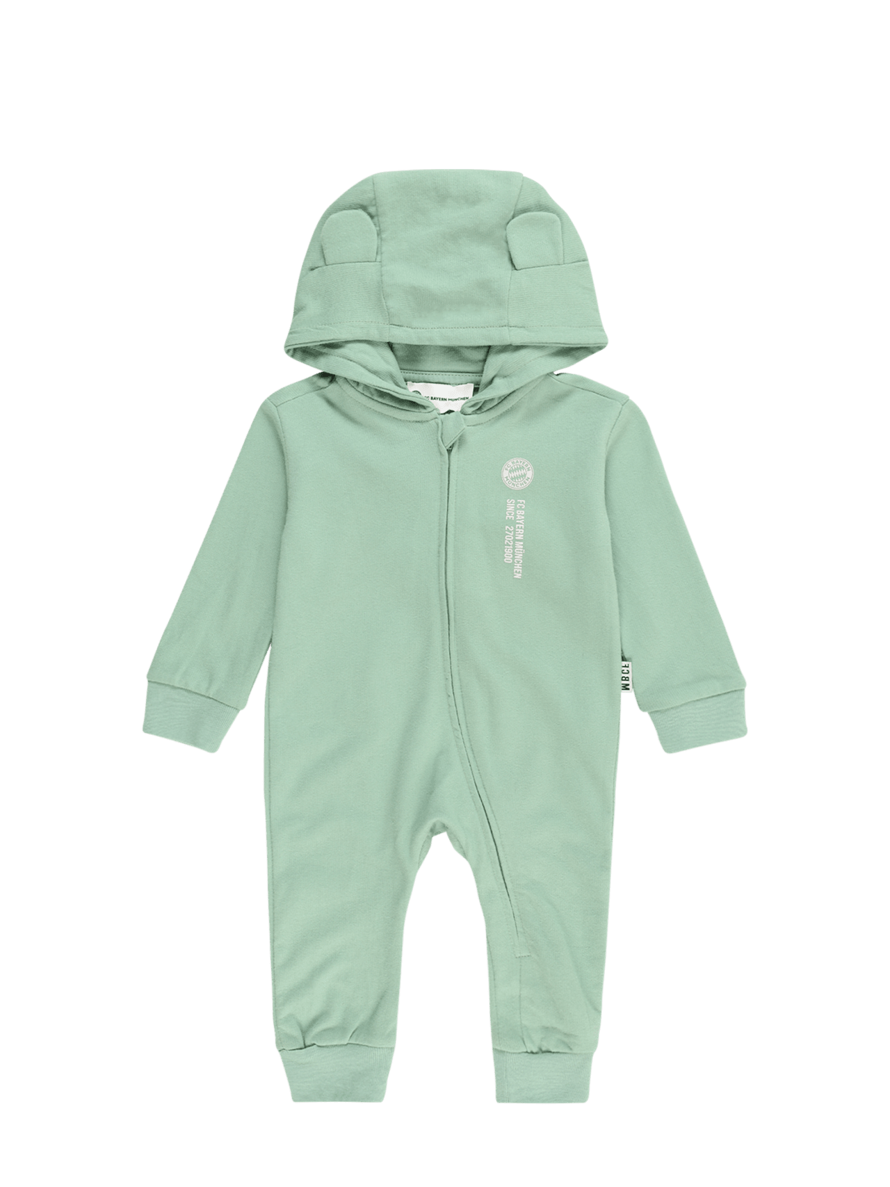 Overall FCBM detail 1