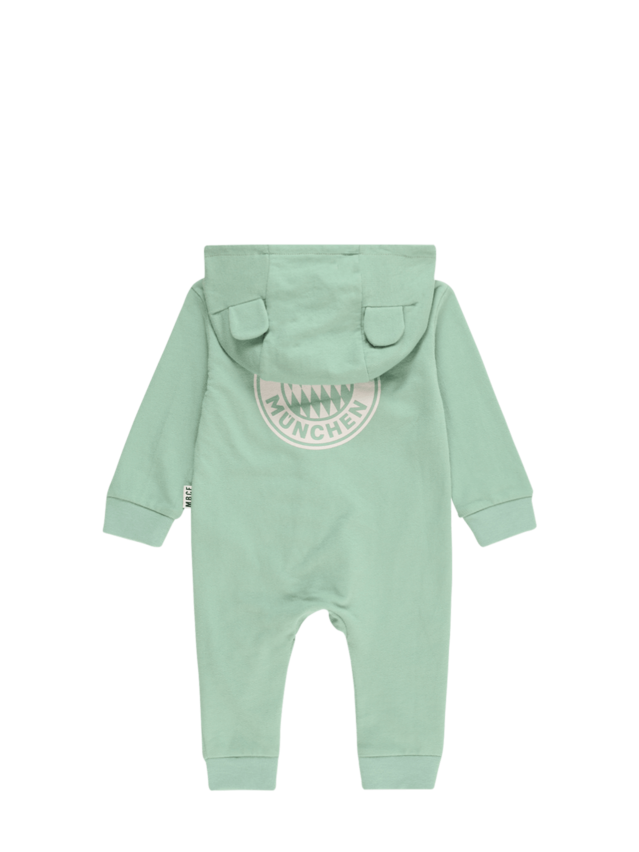 Overall FCBM detail 2