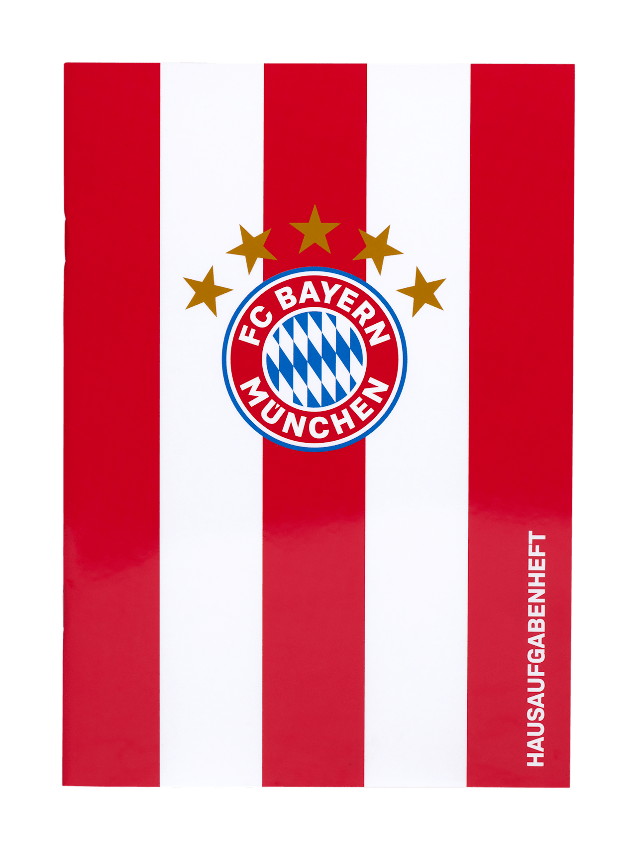 Hausaufgabenheft 1