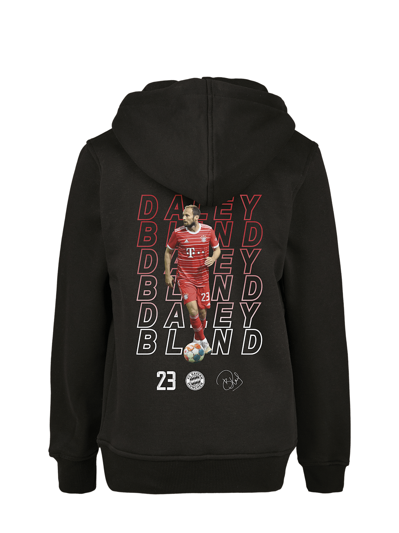 Hoodie Blind detail 2