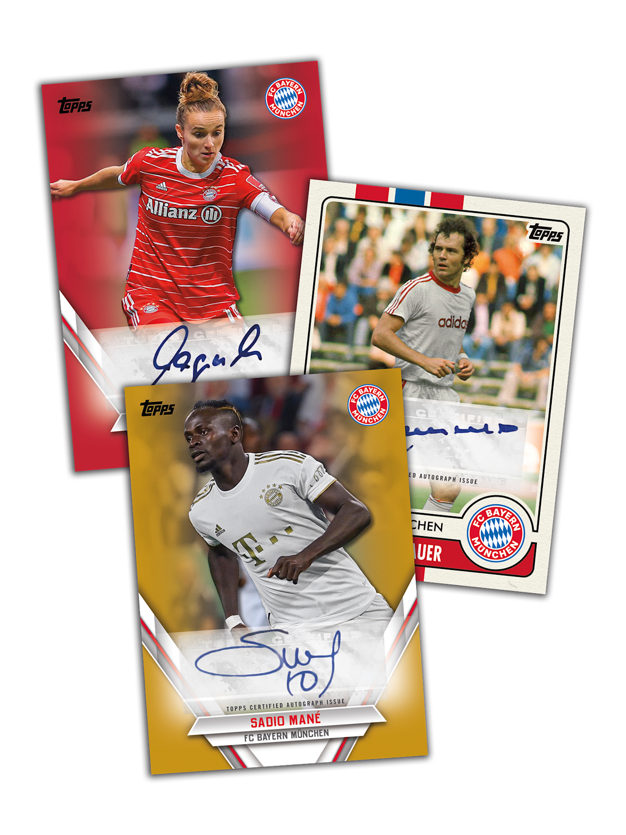 Team Set 2022-23 detail 5