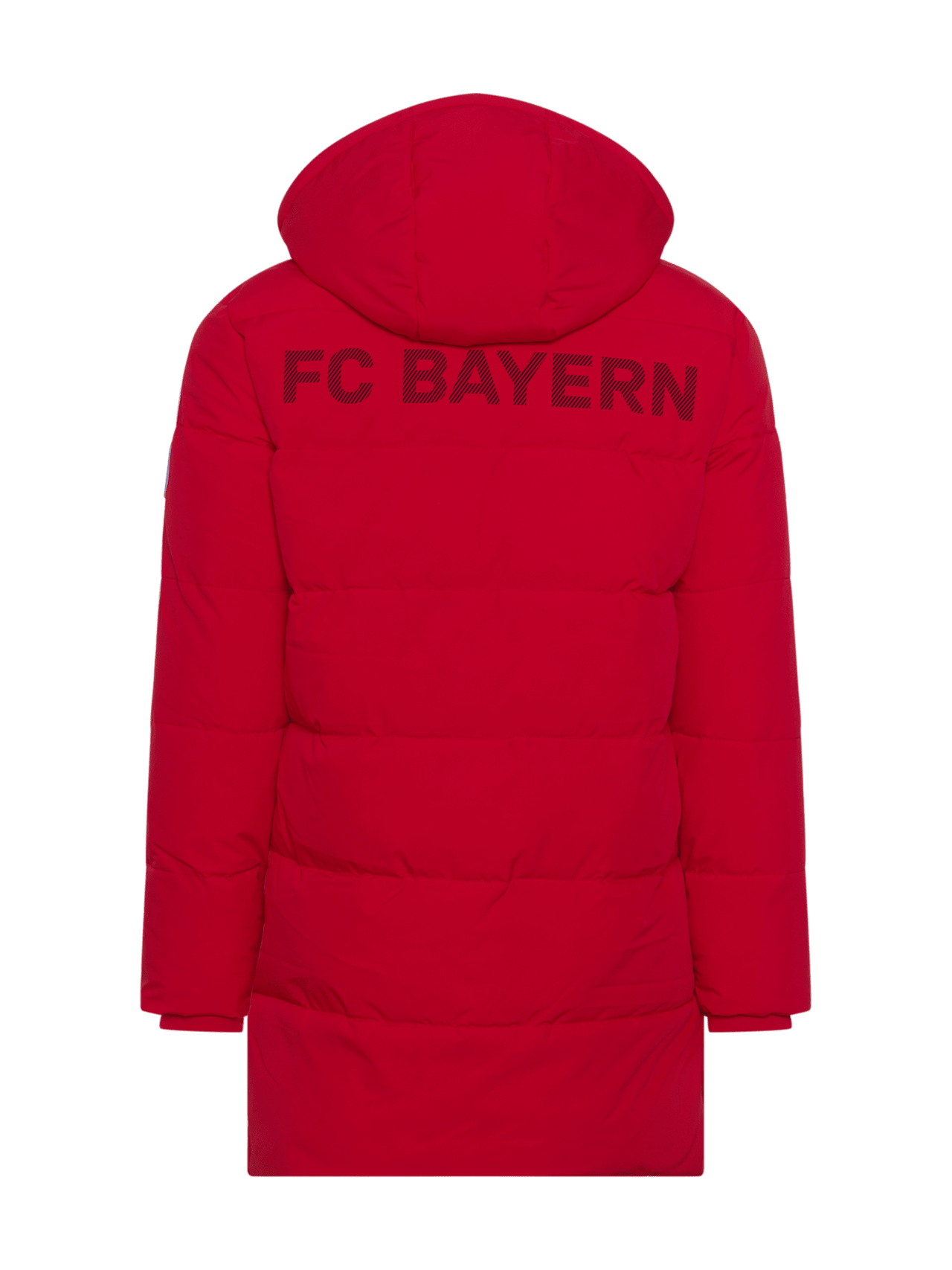 Stadionparka Allianz Arena detail 2