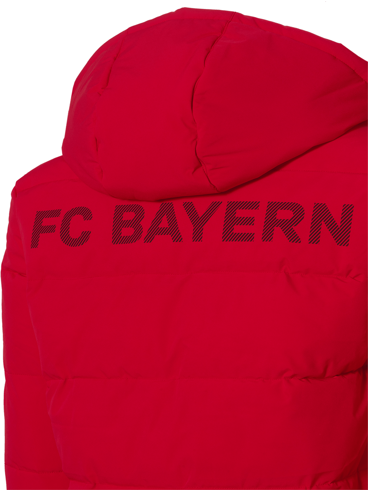 Stadionparka Allianz Arena detail 3