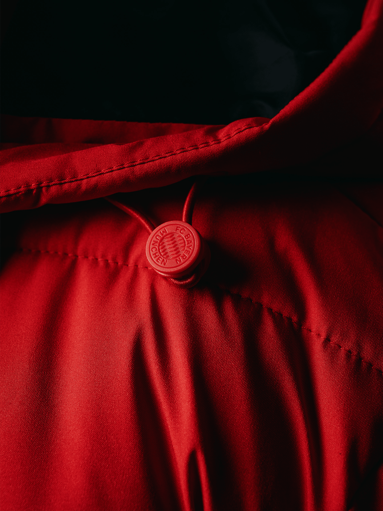Stadionparka Allianz Arena detail 8