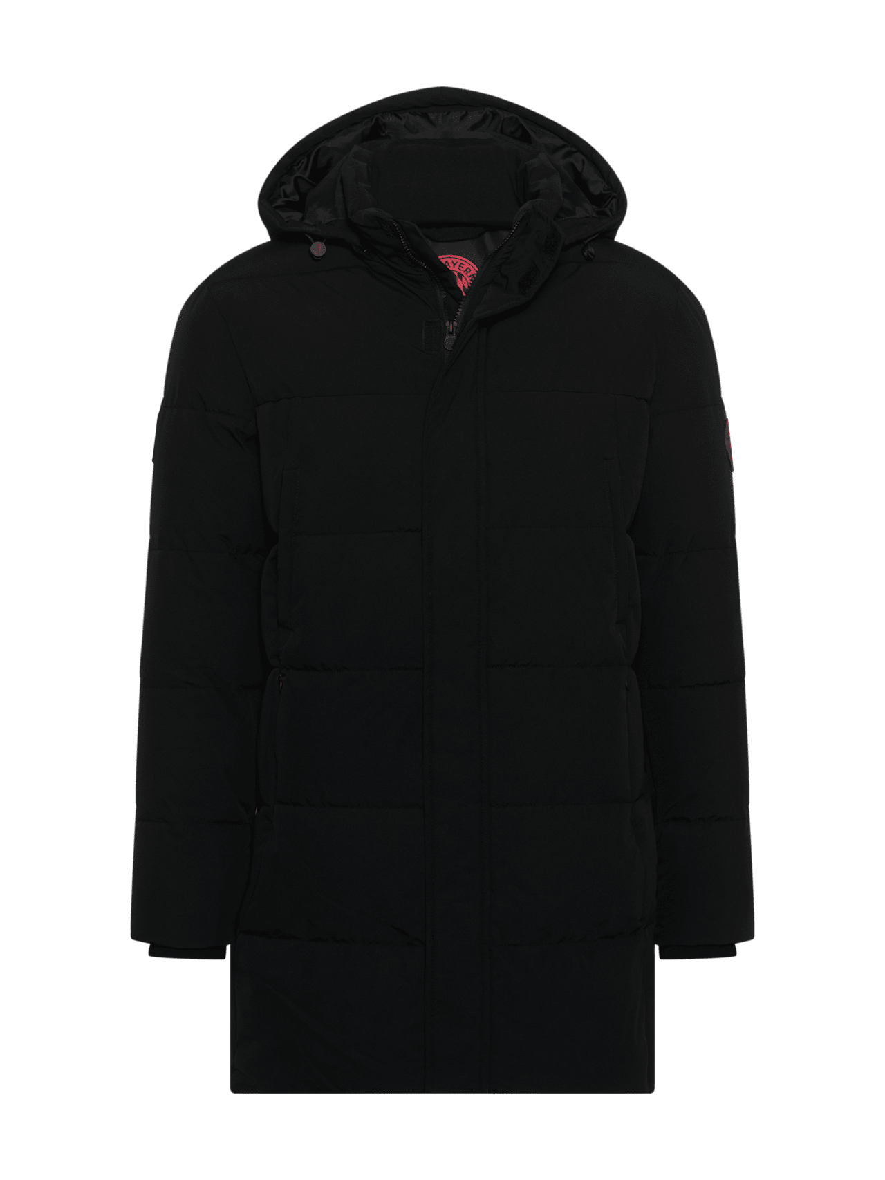 Stadionparka Allianz Arena detail 1