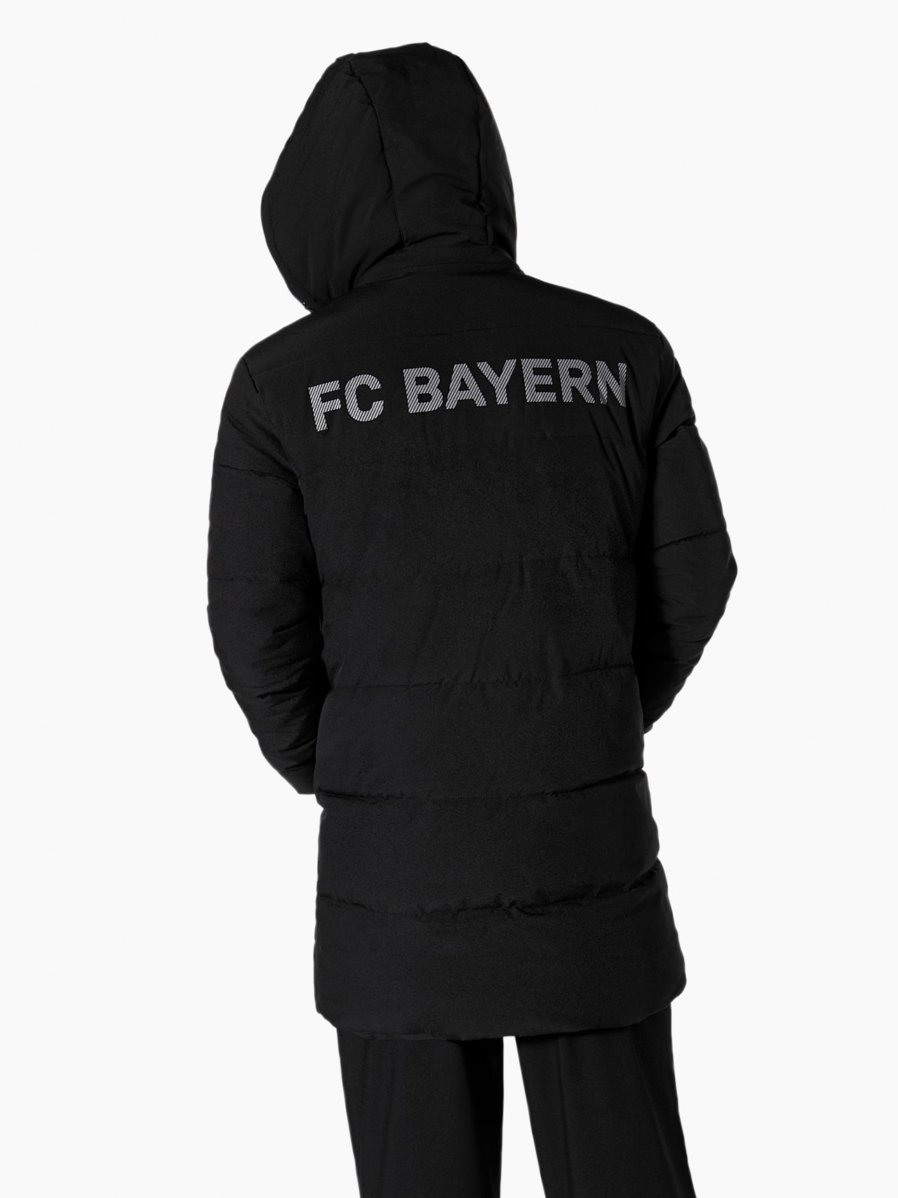 Stadionparka Allianz Arena detail 5