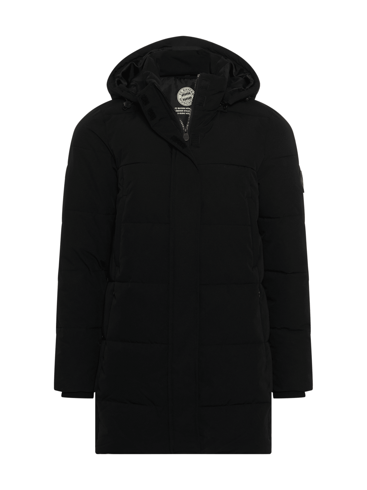 Stadionparka Allianz Arena detail 1