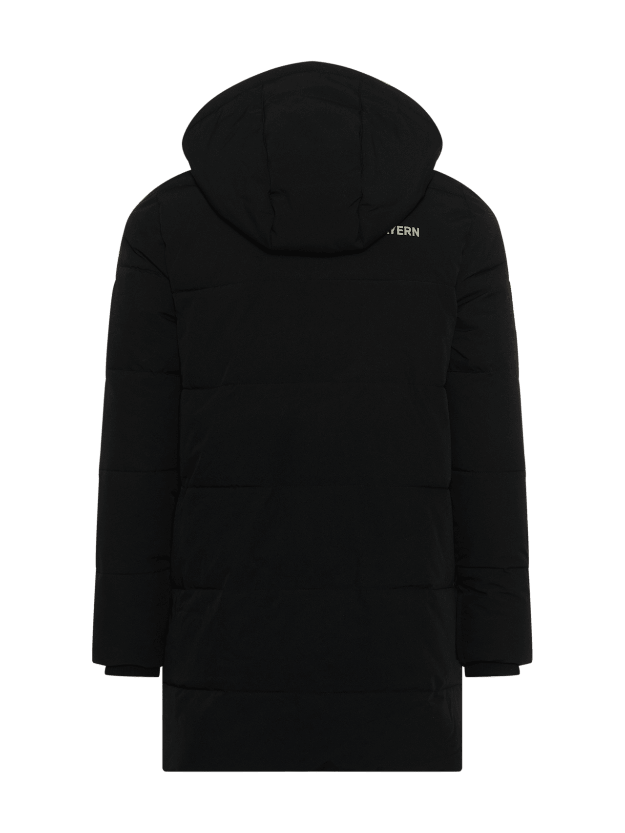 Stadionparka Allianz Arena detail 2