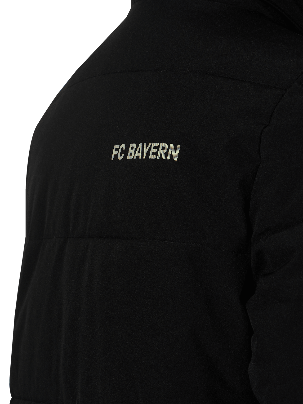 Stadionparka Allianz Arena detail 3