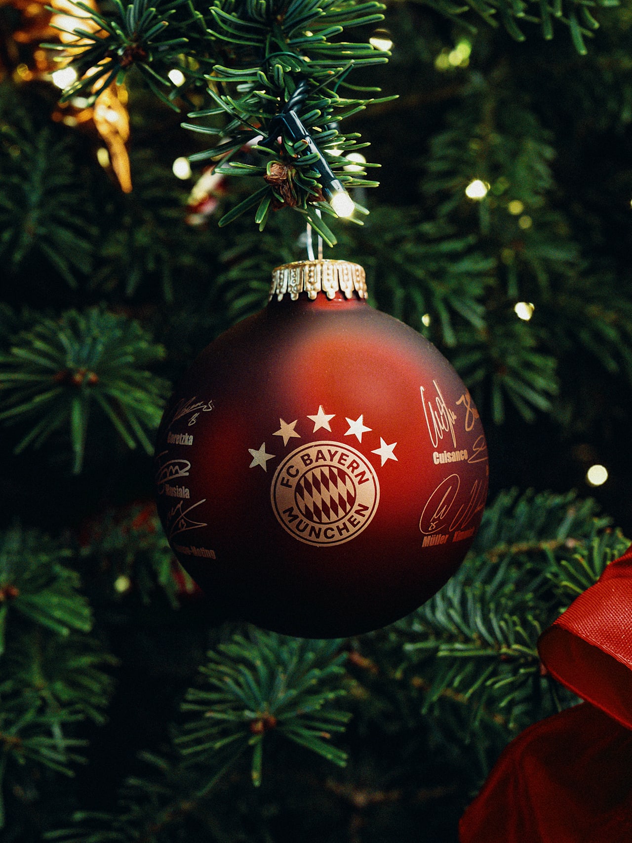 Christbaumkugel Signature detail 5
