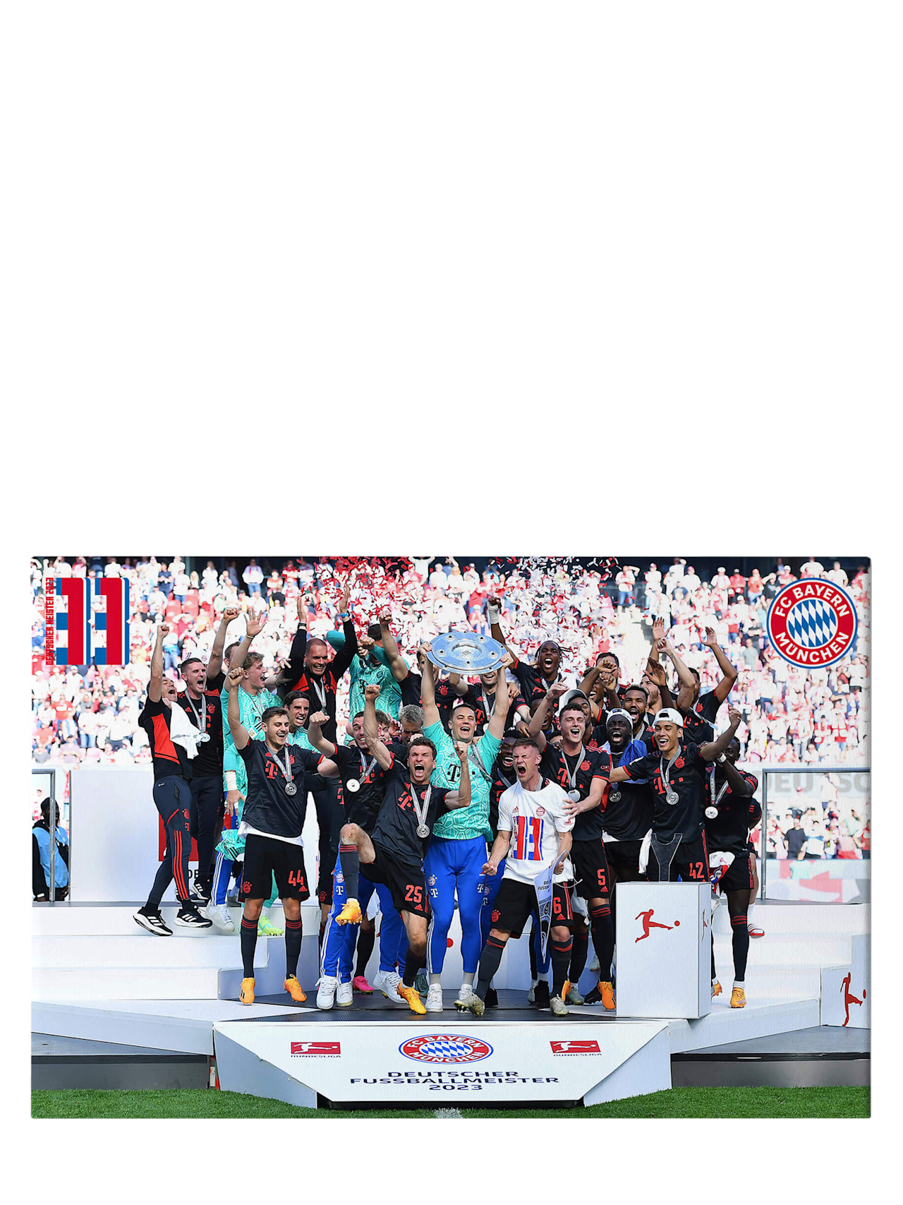 Leinwand Deutscher Meister 2023 detail 1