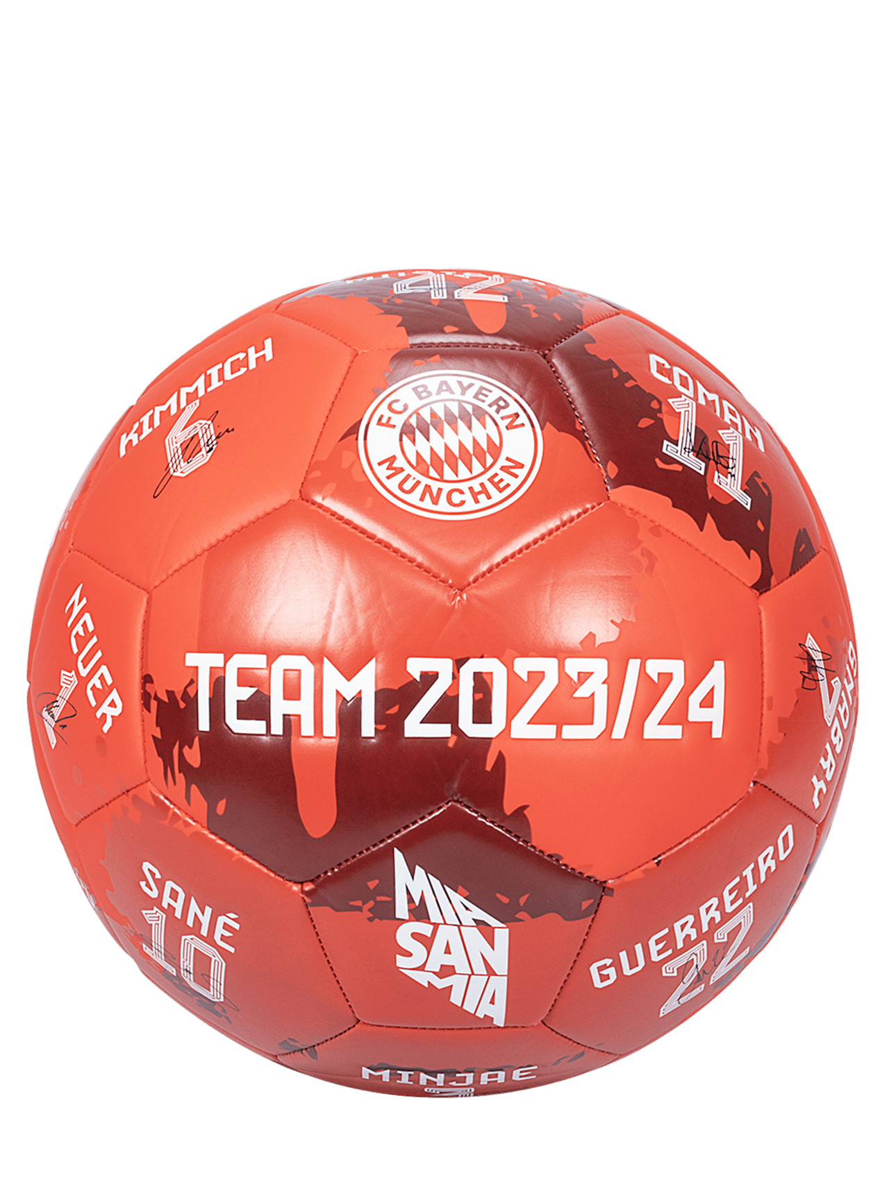 Ball Signature 2023-24 detail 1