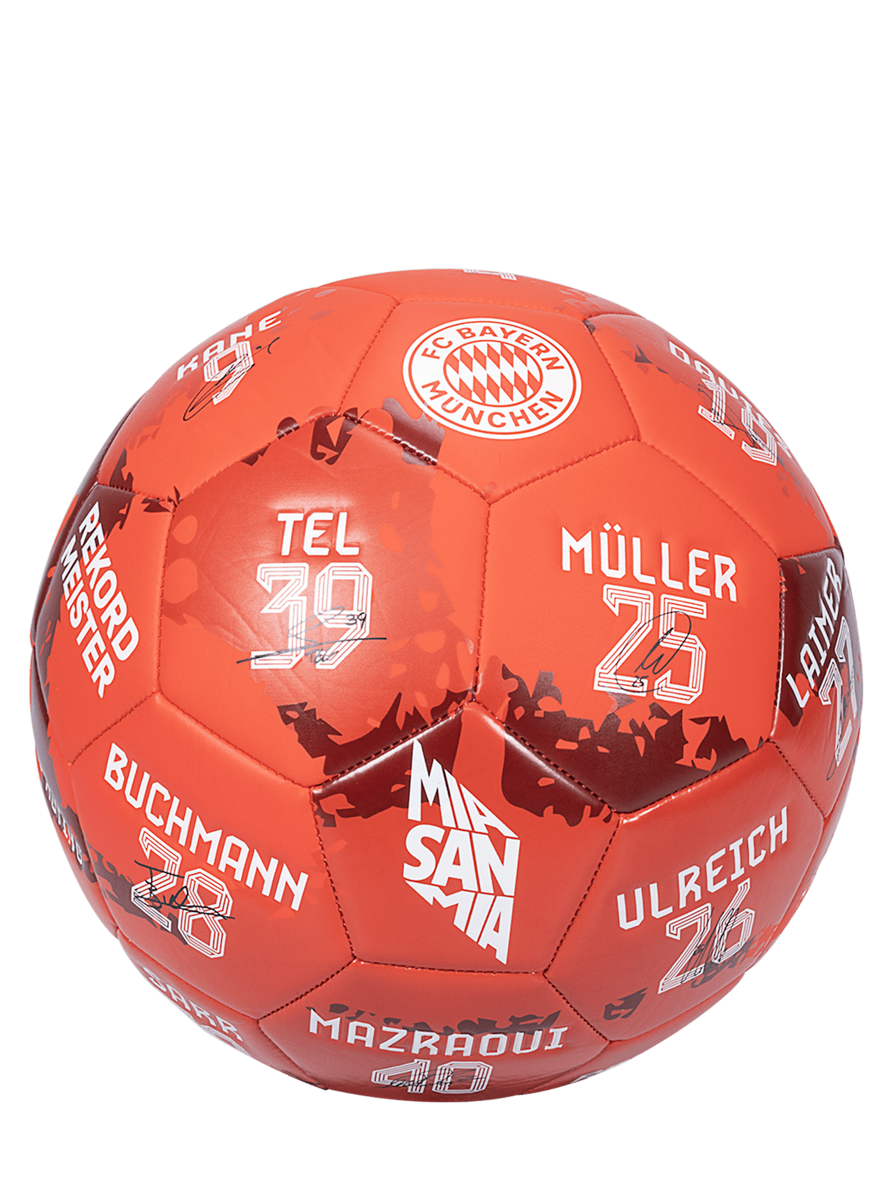 Ball Signature 2023-24 detail 2