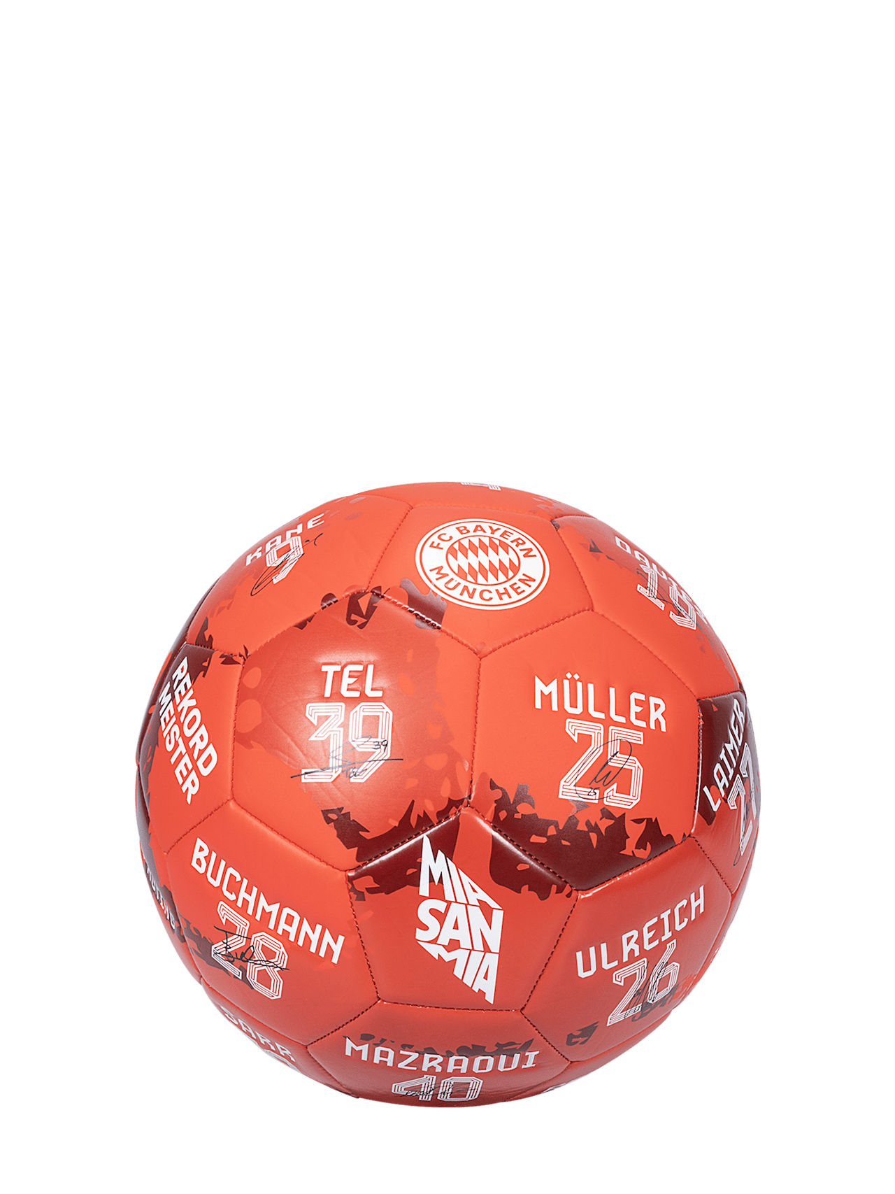 Mini-Ball Signature 2023-24 detail 2