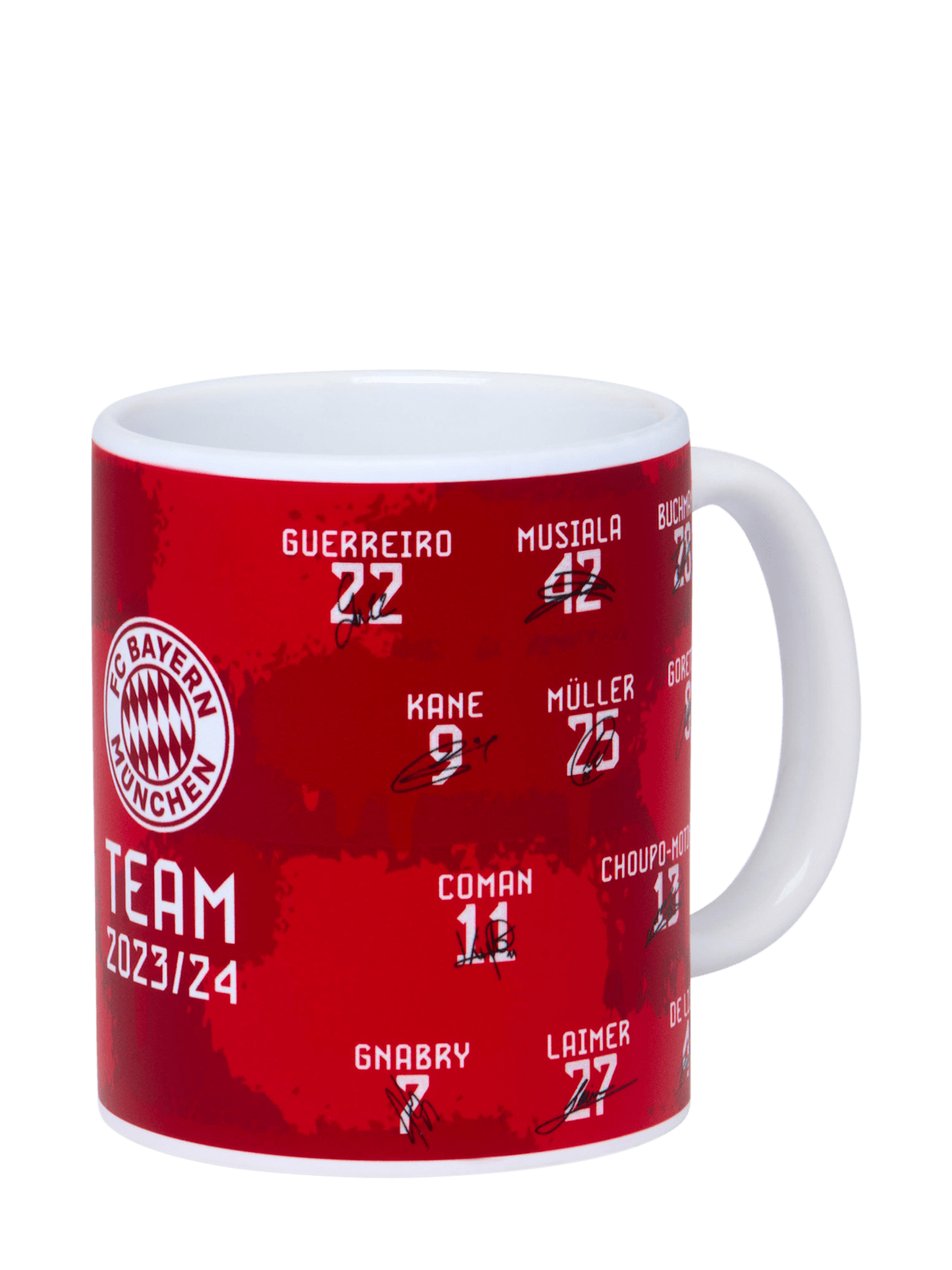 Tasse Signature 2023-24 detail 1