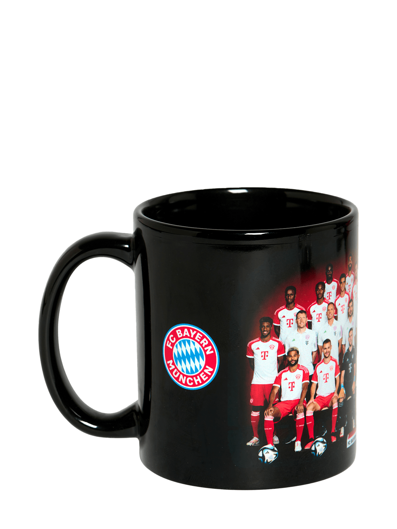 Tazza Team 2023-24 detail 2
